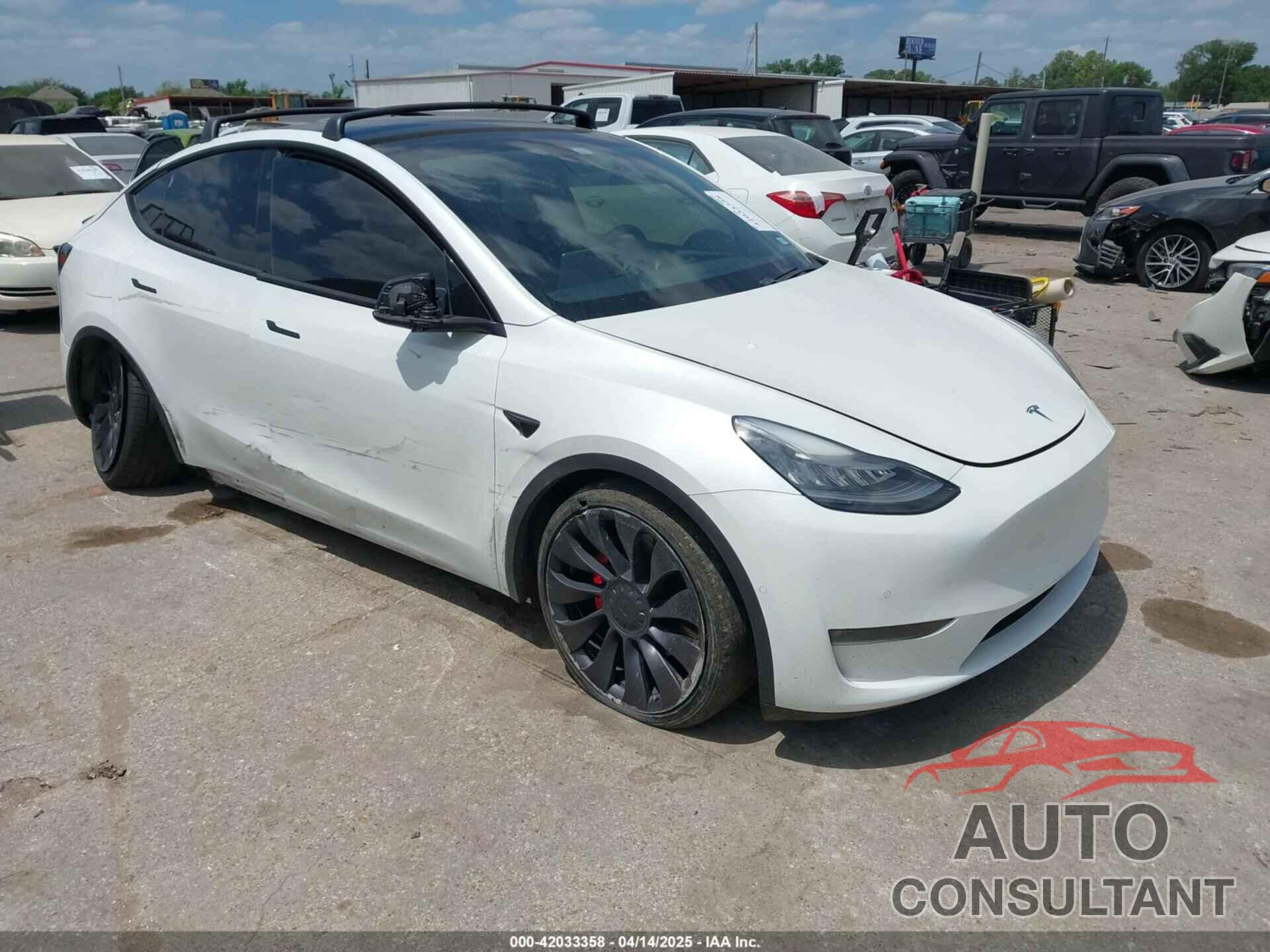 TESLA MODEL Y 2021 - 5YJYGDEF9MF081798