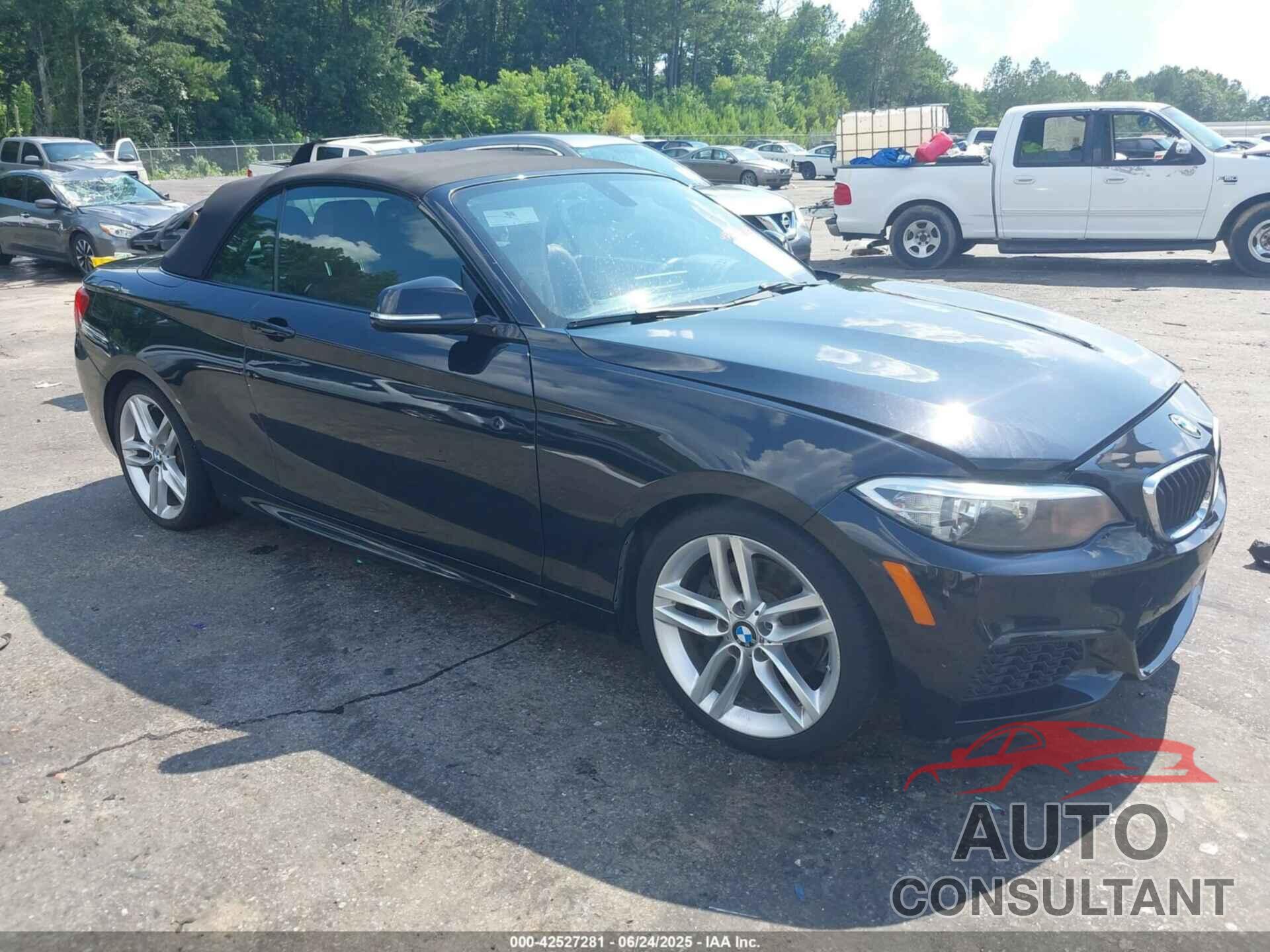 BMW 228I 2016 - WBA1K9C51GV322117