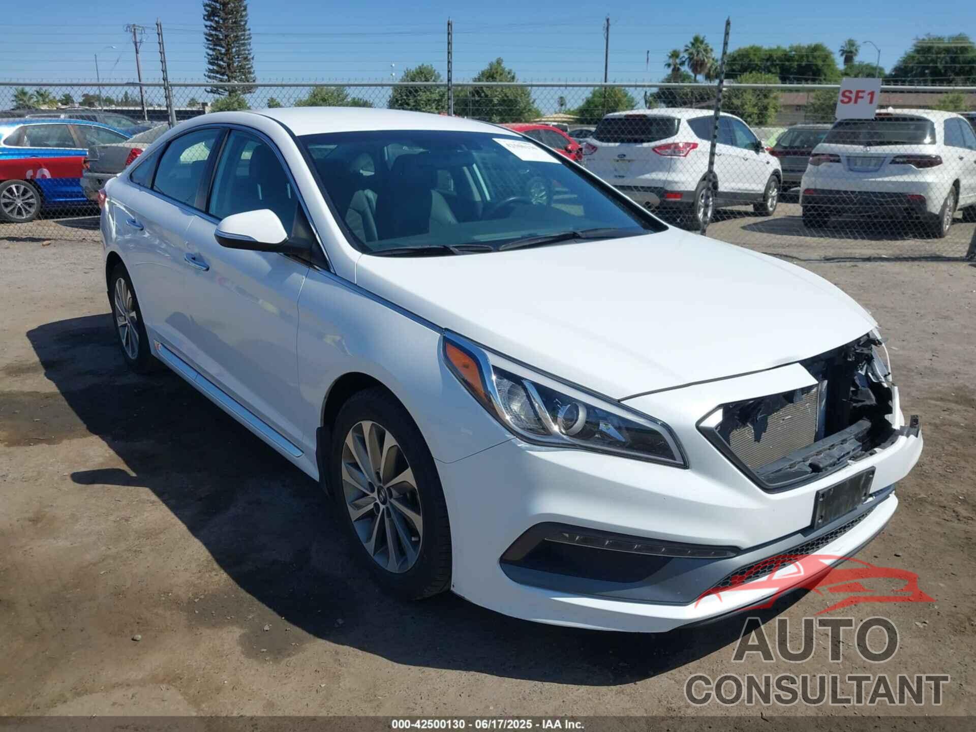 HYUNDAI SONATA 2016 - 5NPE34AF6GH411357