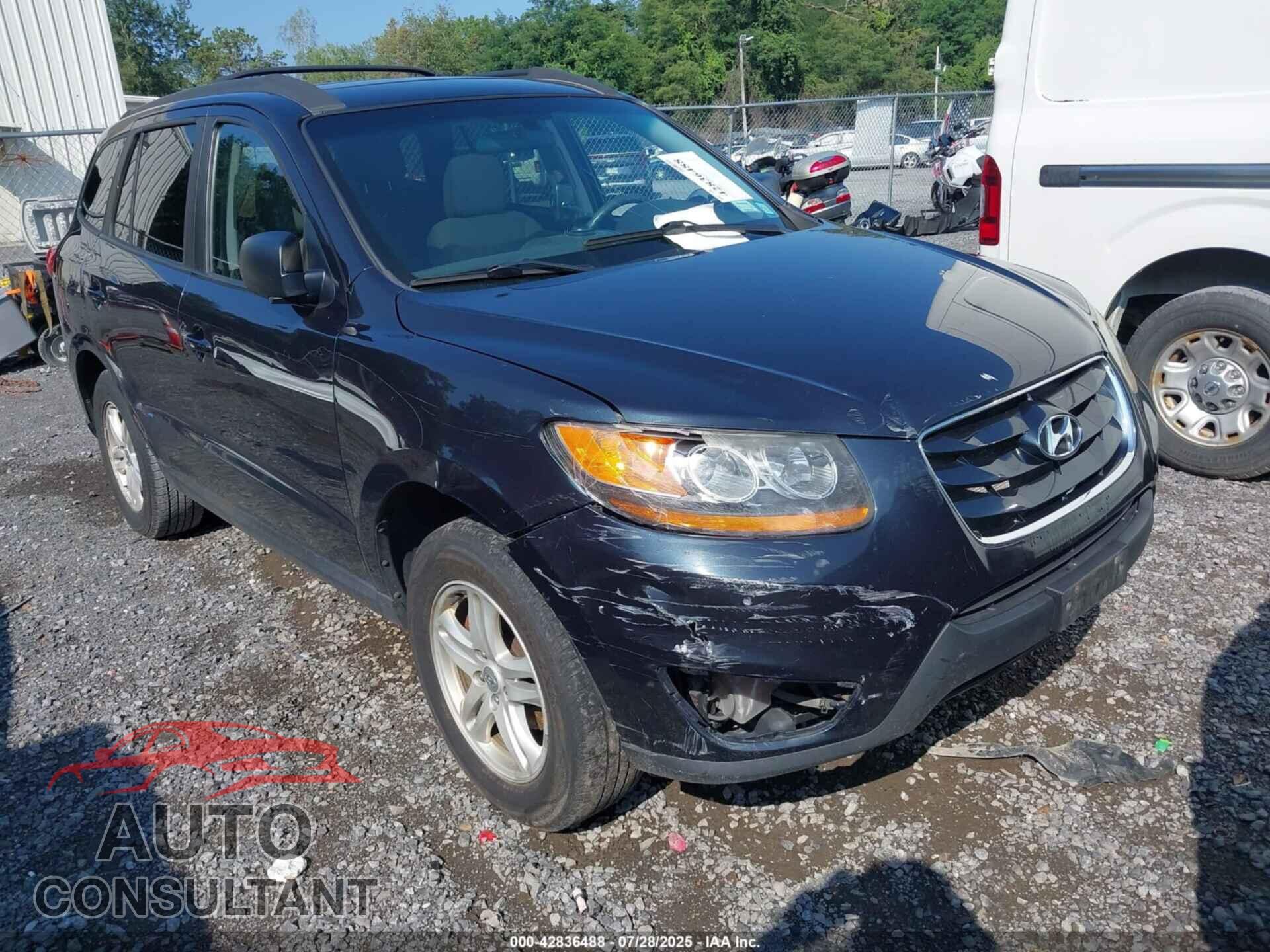 HYUNDAI SANTA FE 2010 - 5NMSGDAB7AH411330