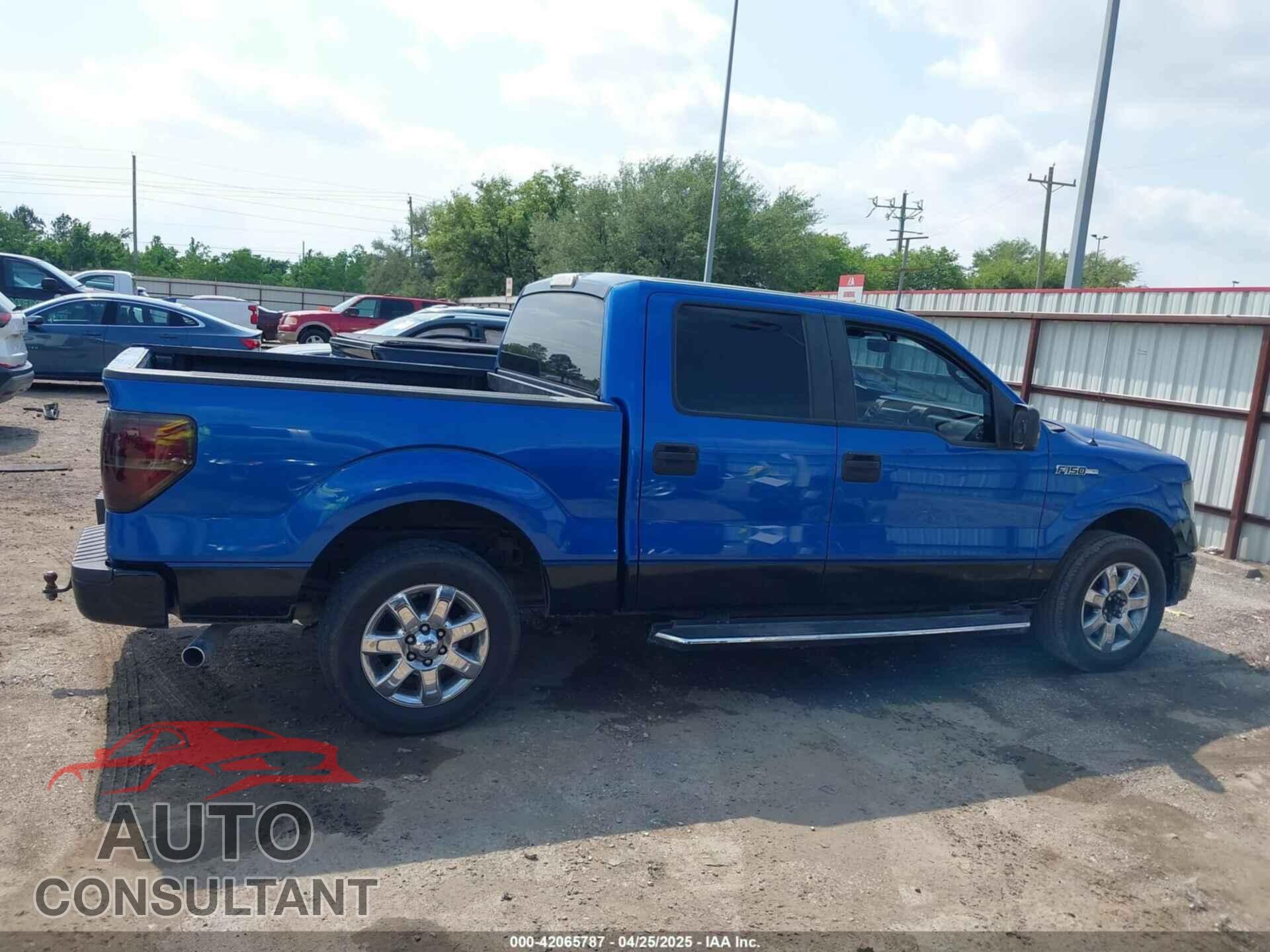 FORD F-150 2011 - 1FTEW1CM2BKD19982