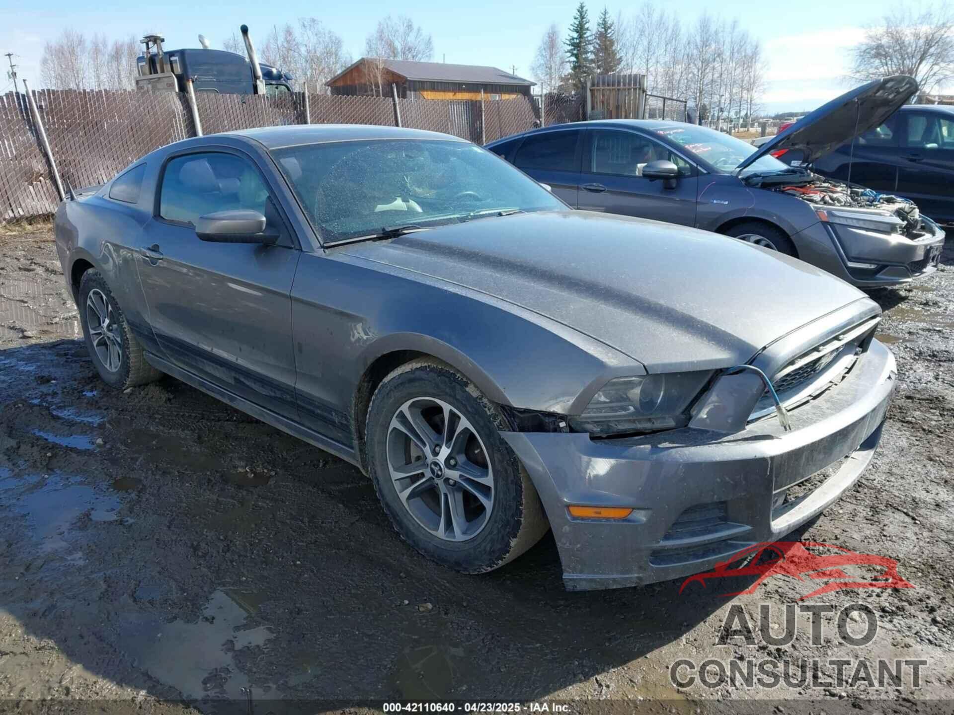 FORD MUSTANG 2014 - 1ZVBP8AM9E5201956