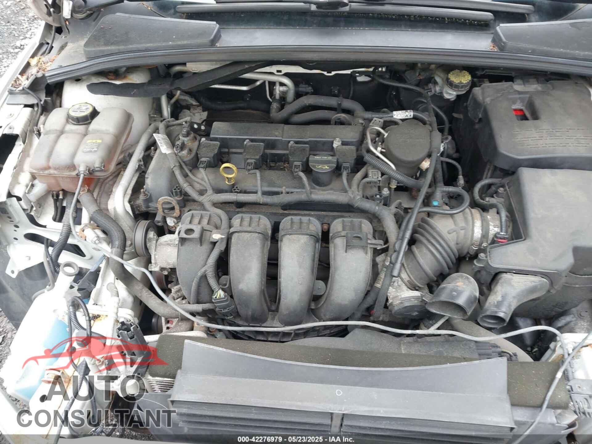 FORD FOCUS 2012 - 1FAHP3N27CL171993