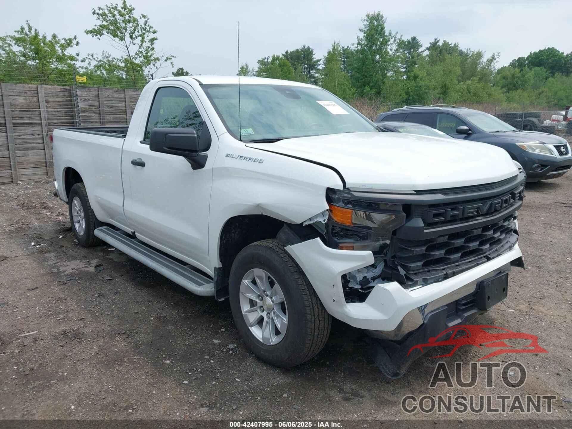 CHEVROLET SILVERADO 1500 2023 - 3GCNAAED9PG318984