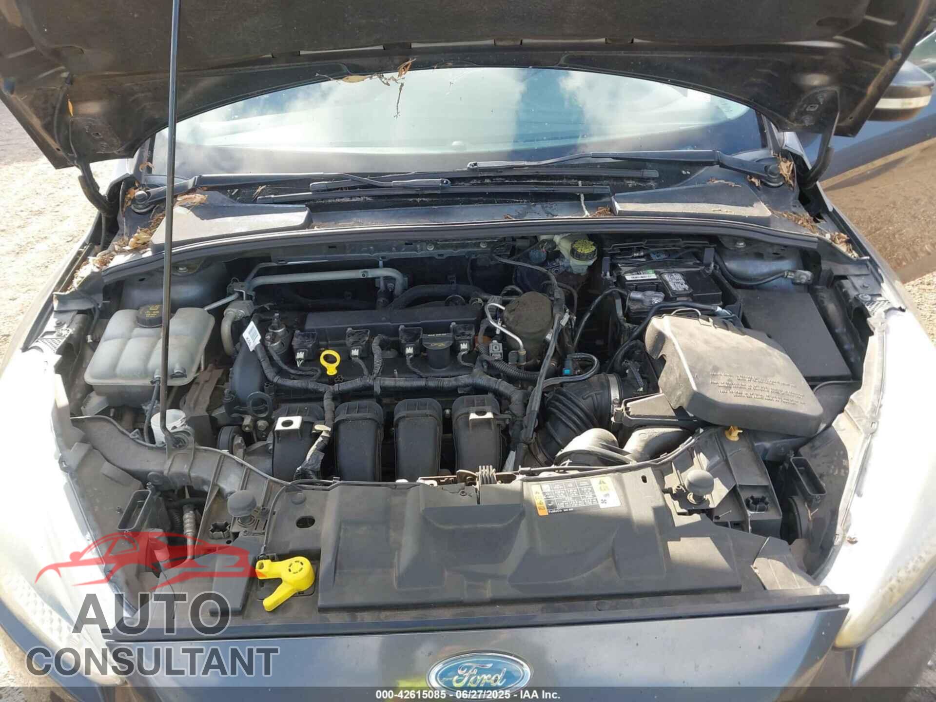 FORD FOCUS 2016 - 1FADP3F26GL314872