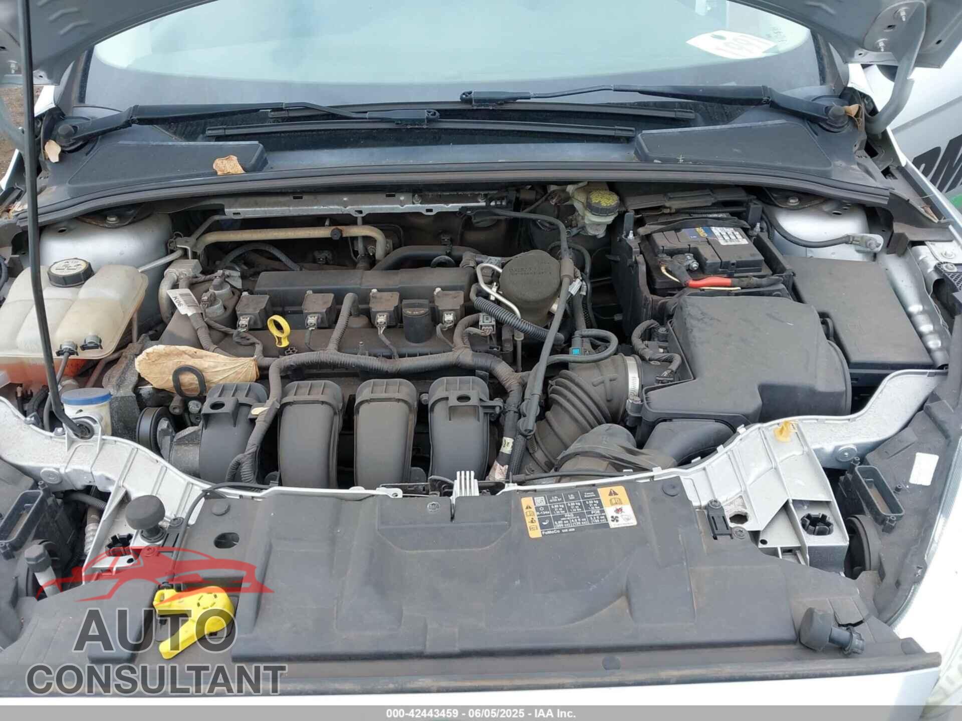 FORD FOCUS 2016 - 1FADP3E27GL311299