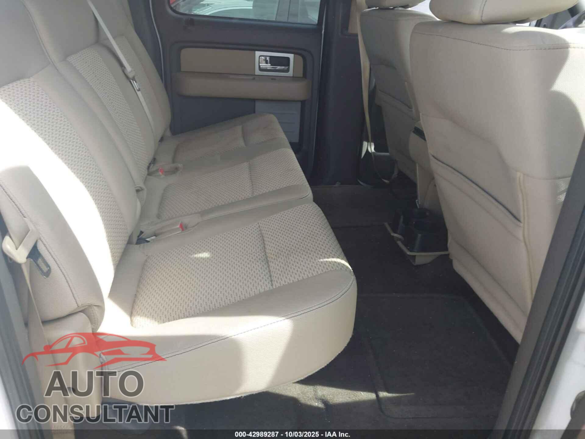 FORD F-150 2010 - 1FTEW1E83AFD29556