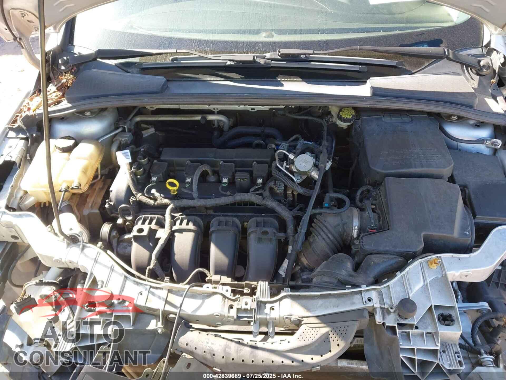 FORD FOCUS 2016 - 1FADP3K29GL333034