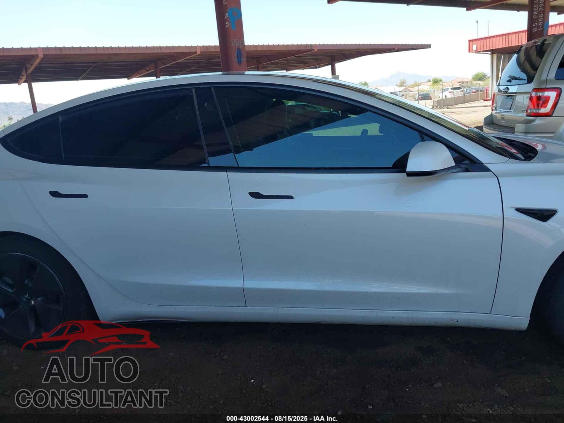TESLA MODEL 3 2021 - 5YJ3E1EA3MF100798