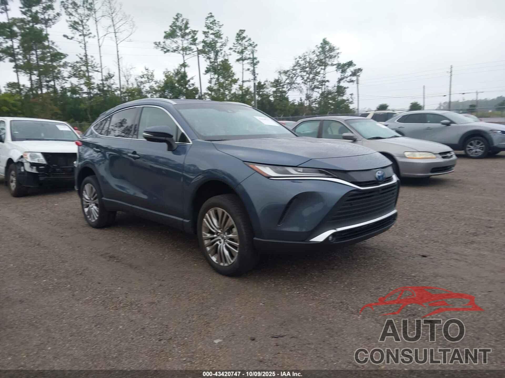 TOYOTA VENZA 2023 - JTEAAAAH2PJ127702