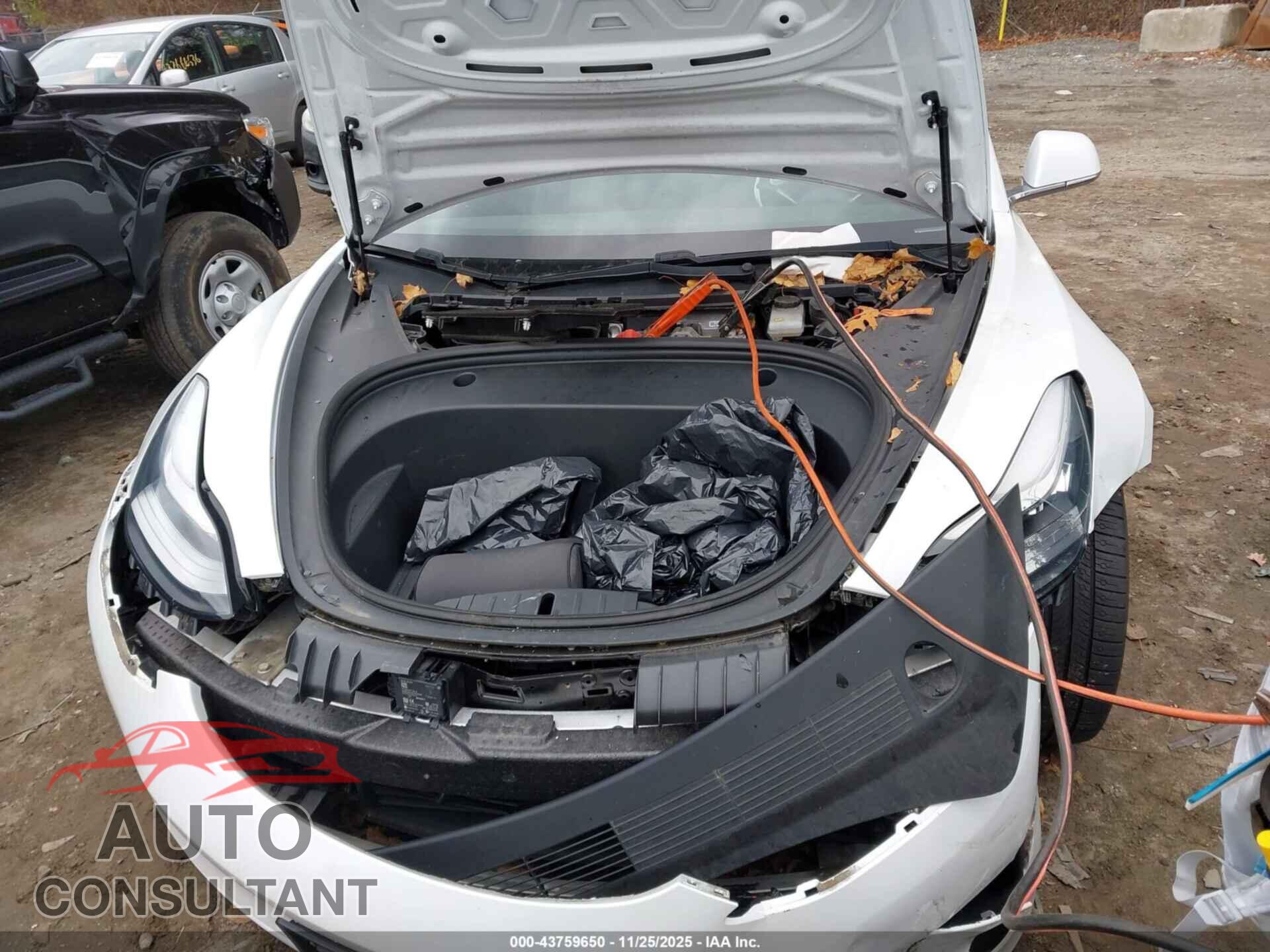 TESLA MODEL 3 2020 - 5YJ3E1EB7LF795018