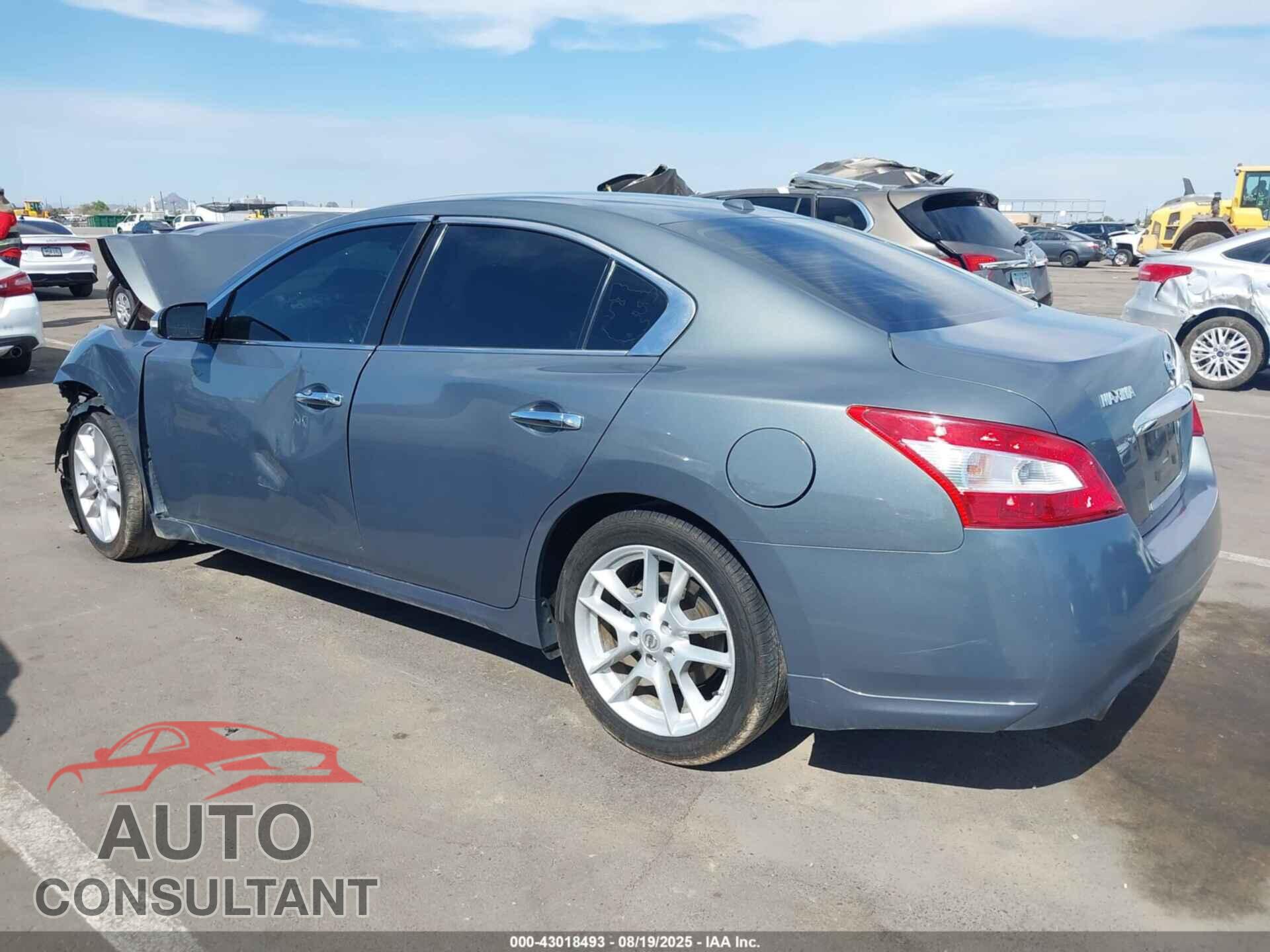 NISSAN MAXIMA 2011 - 1N4AA5AP0BC828521