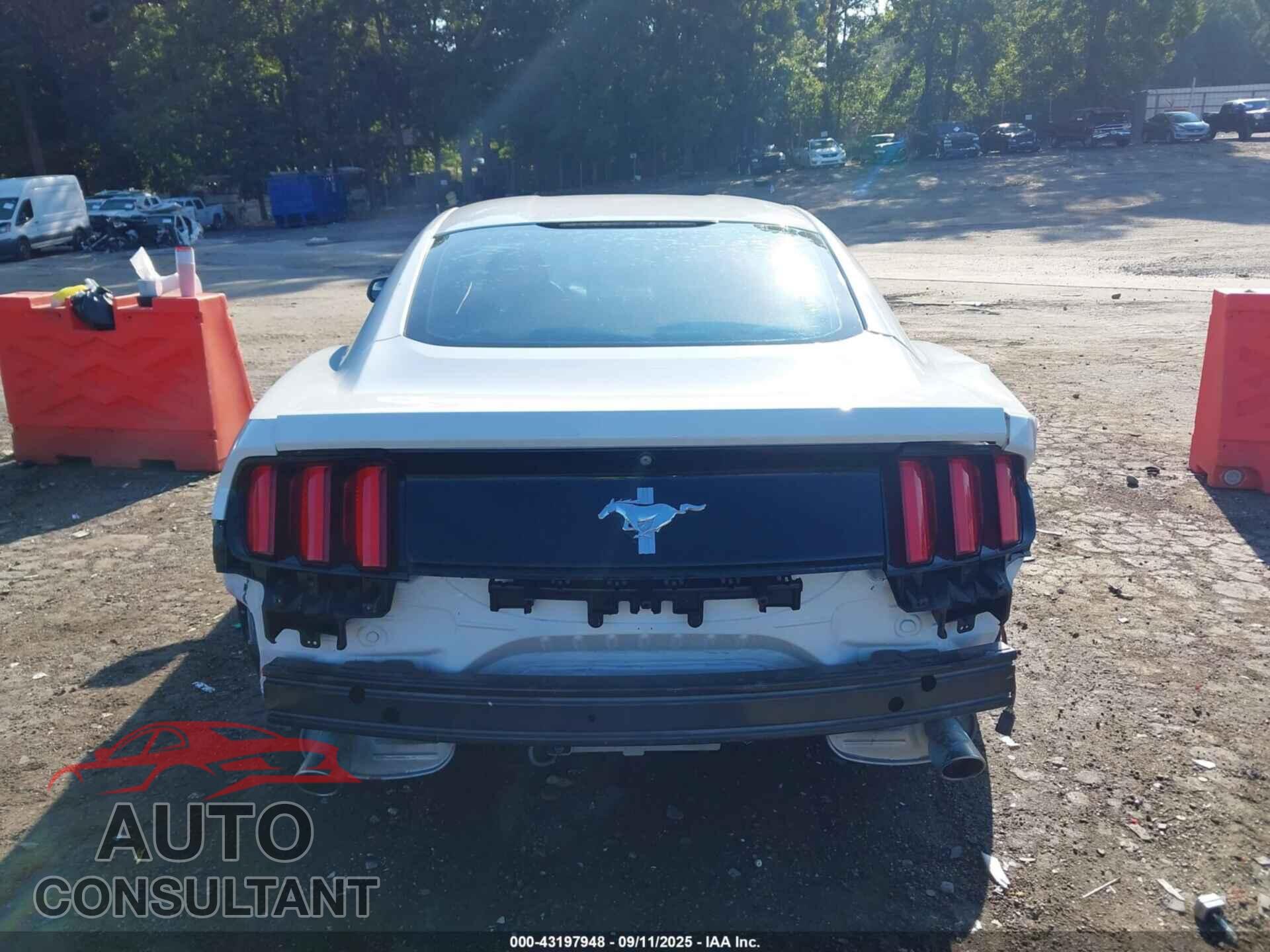 FORD MUSTANG 2015 - 1FA6P8AM9F5303494