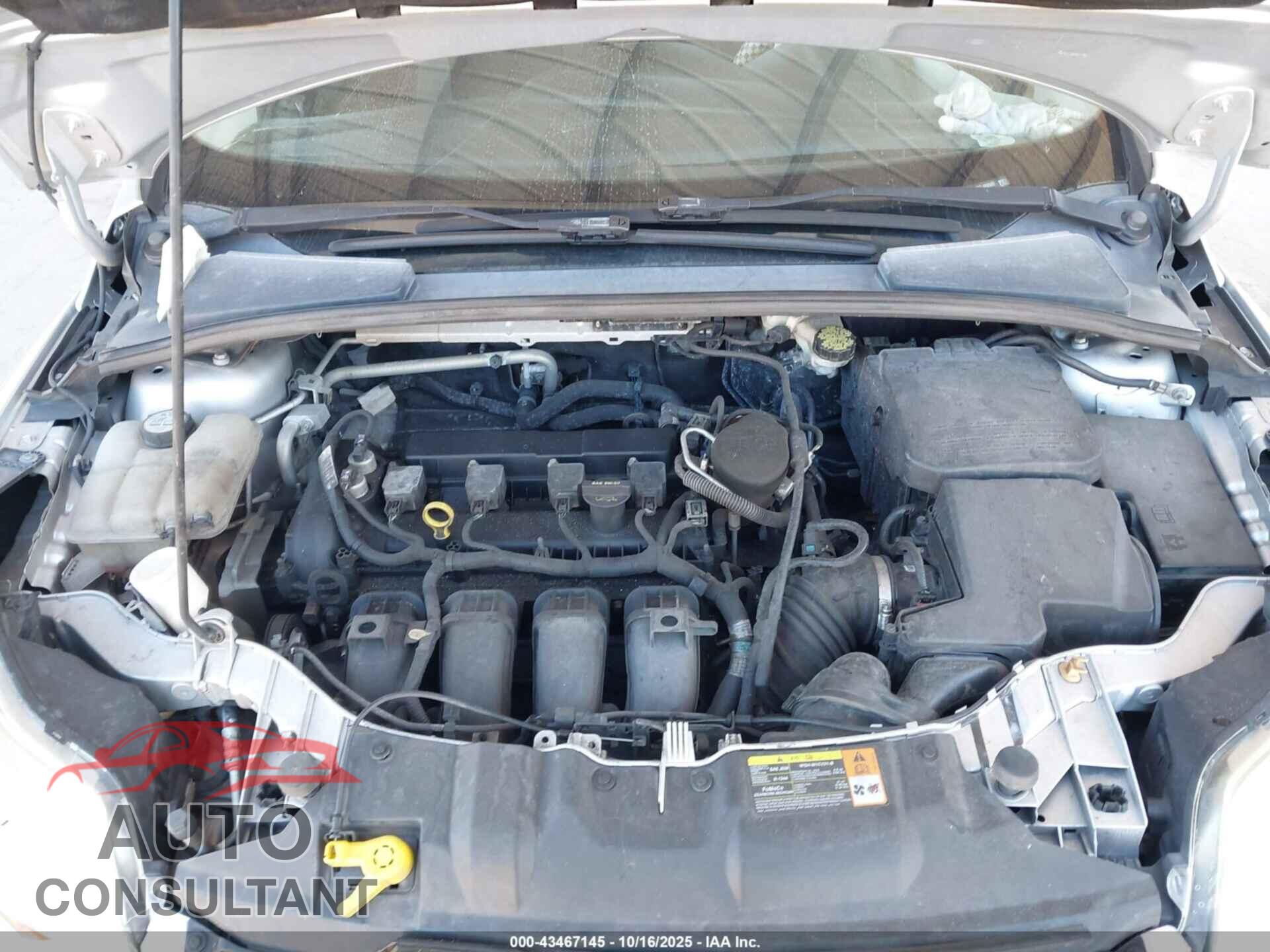 FORD FOCUS 2012 - 1FAHP3F29CL462607