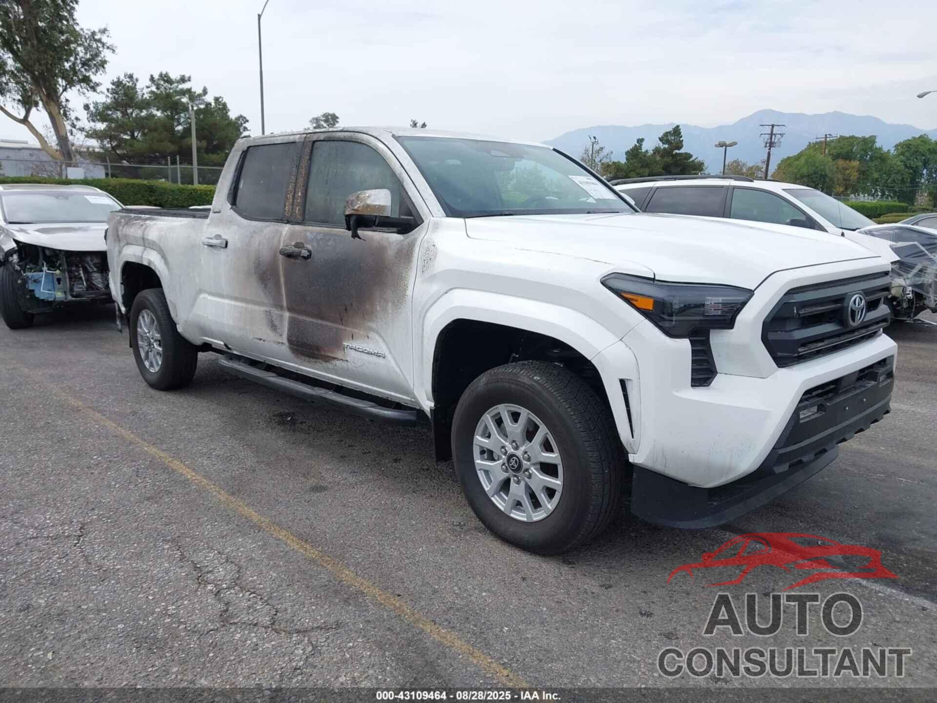 TOYOTA TACOMA 2024 - 3TMLB5JN5RM041829