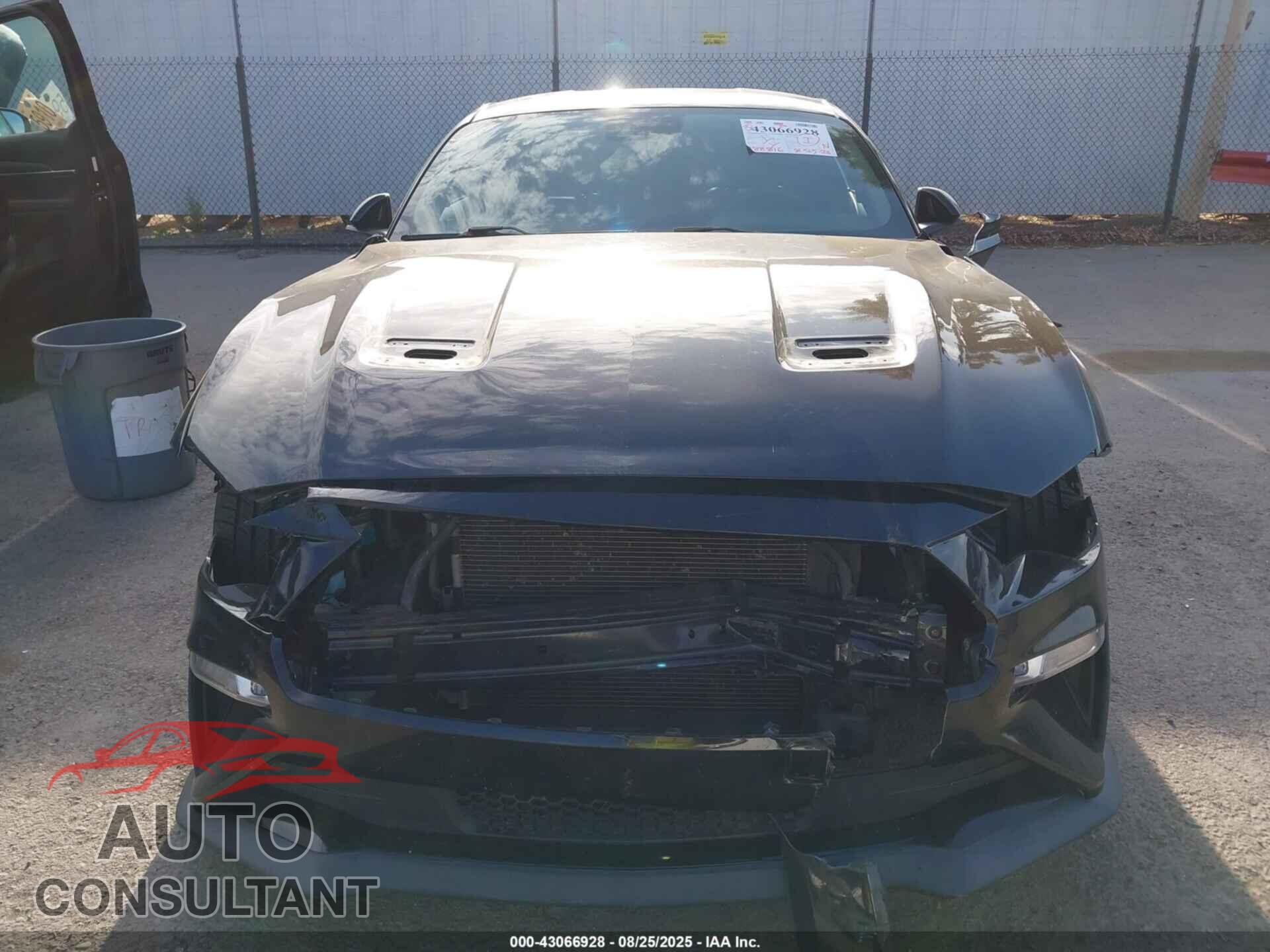 FORD MUSTANG 2019 - 1FA6P8CF7K5125657