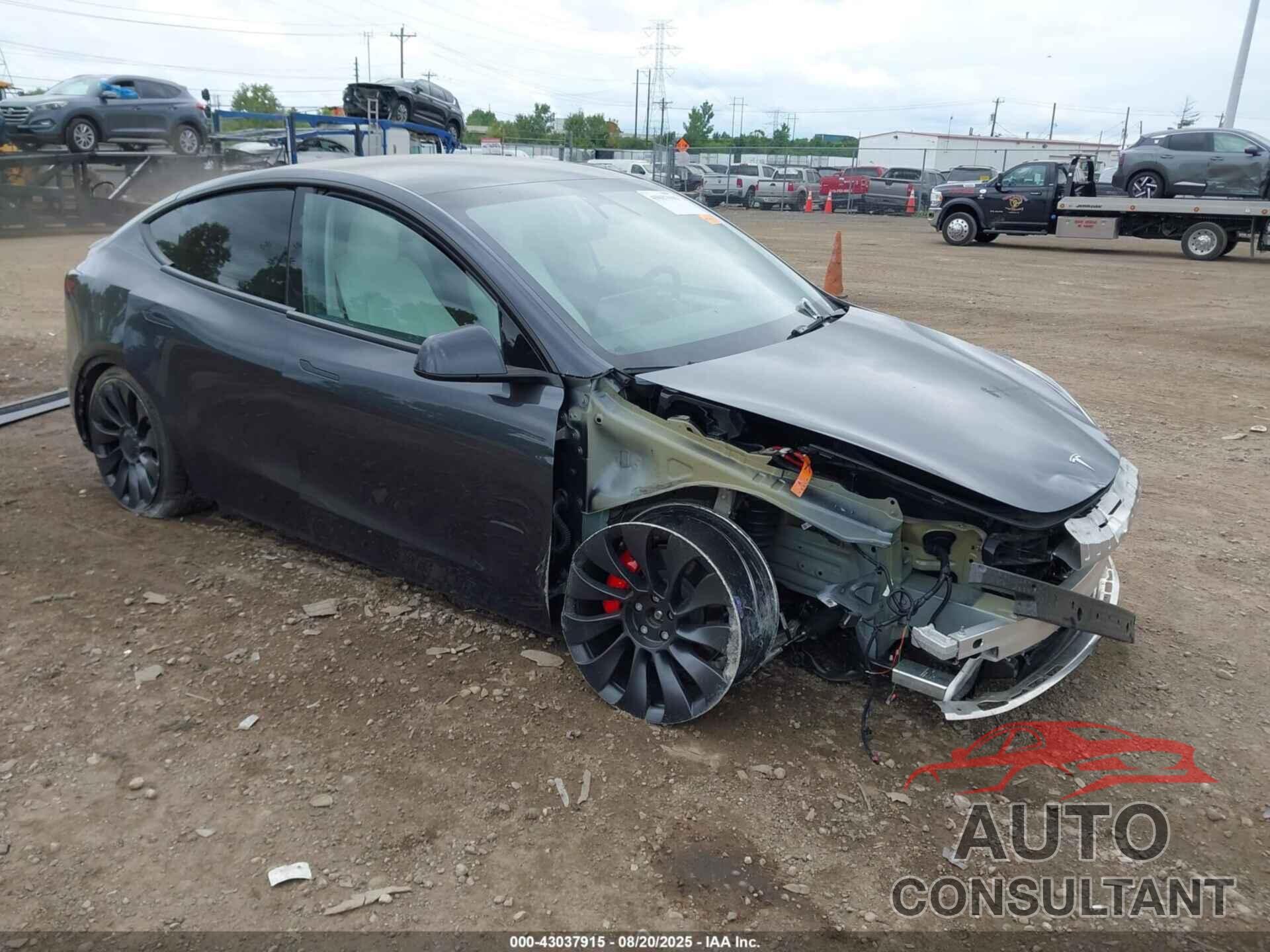 TESLA MODEL Y 2024 - 7SAYGDEFXRF022897