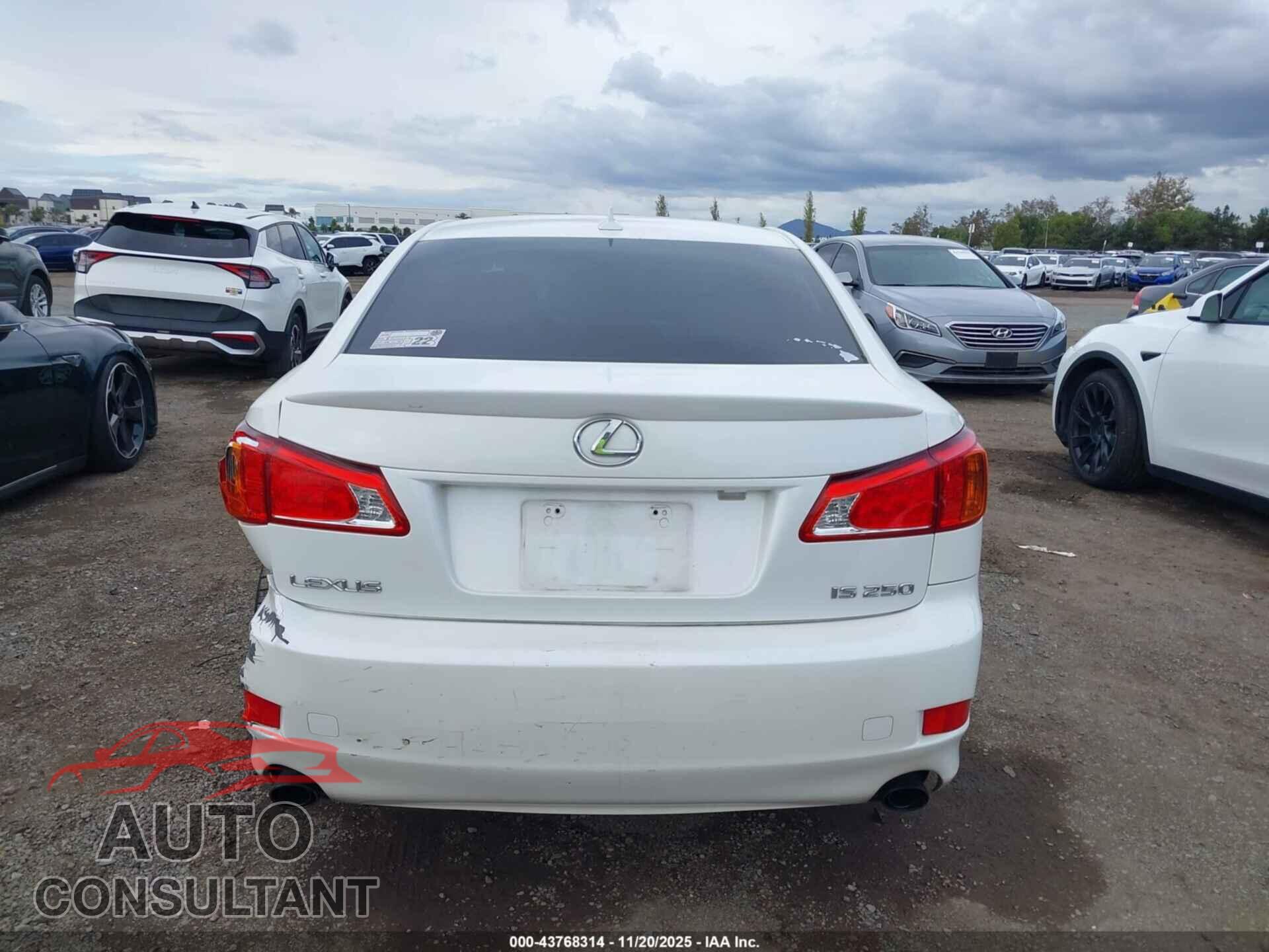 LEXUS IS 250 2010 - JTHBF5C23A2097068