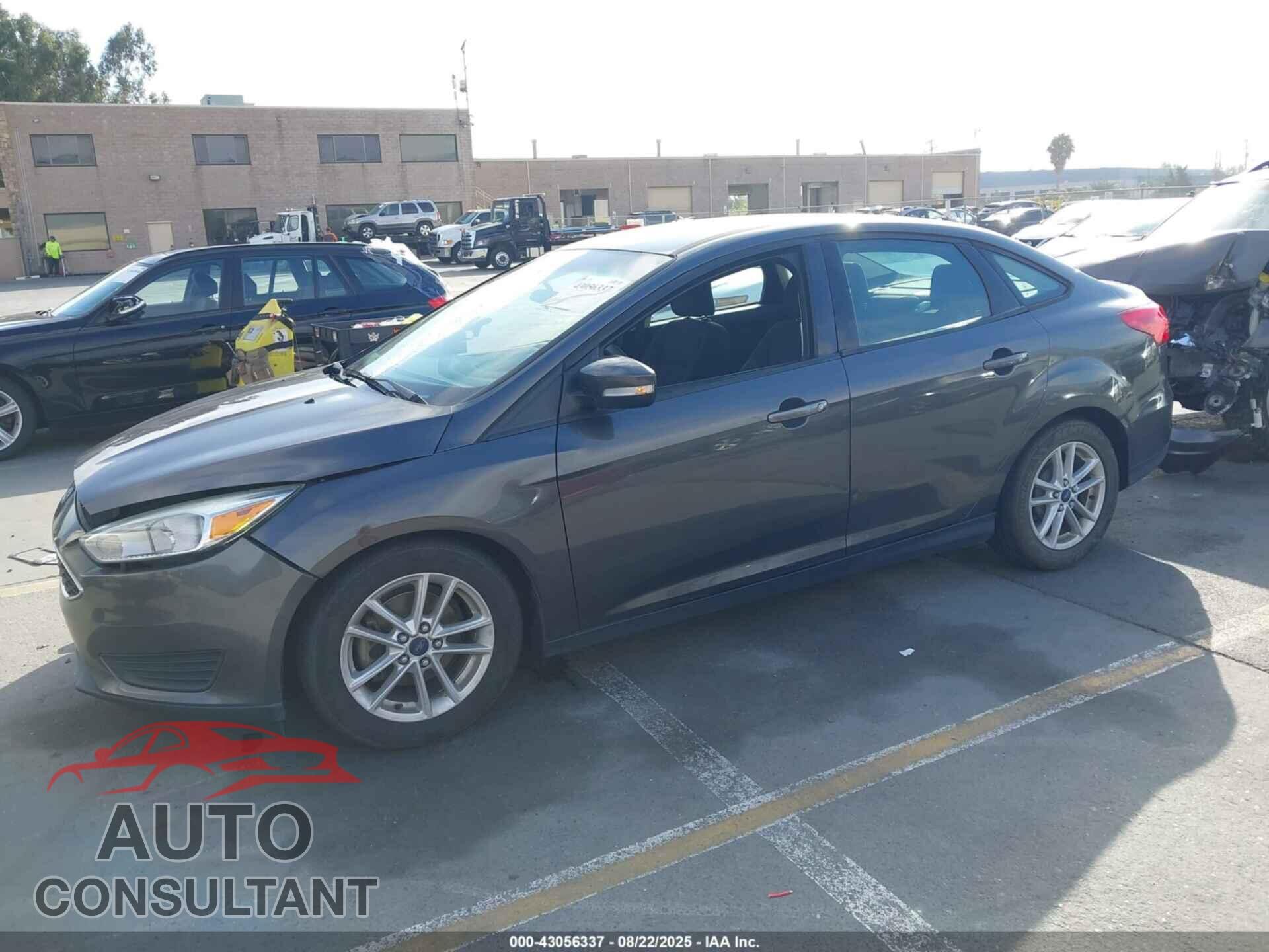FORD FOCUS 2016 - 1FADP3F29GL297632