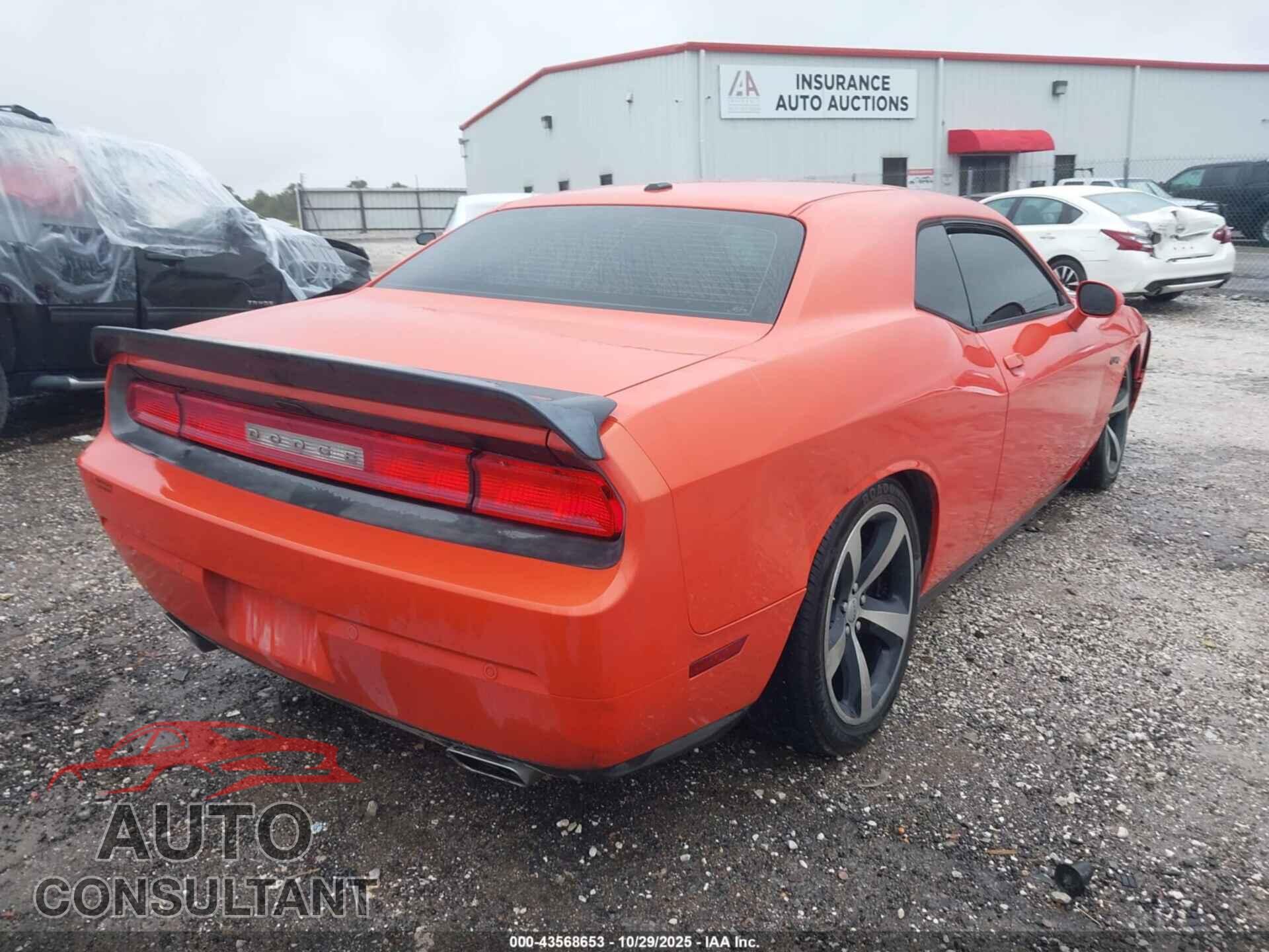 DODGE CHALLENGER 2013 - 2C3CDYBT7DH733689