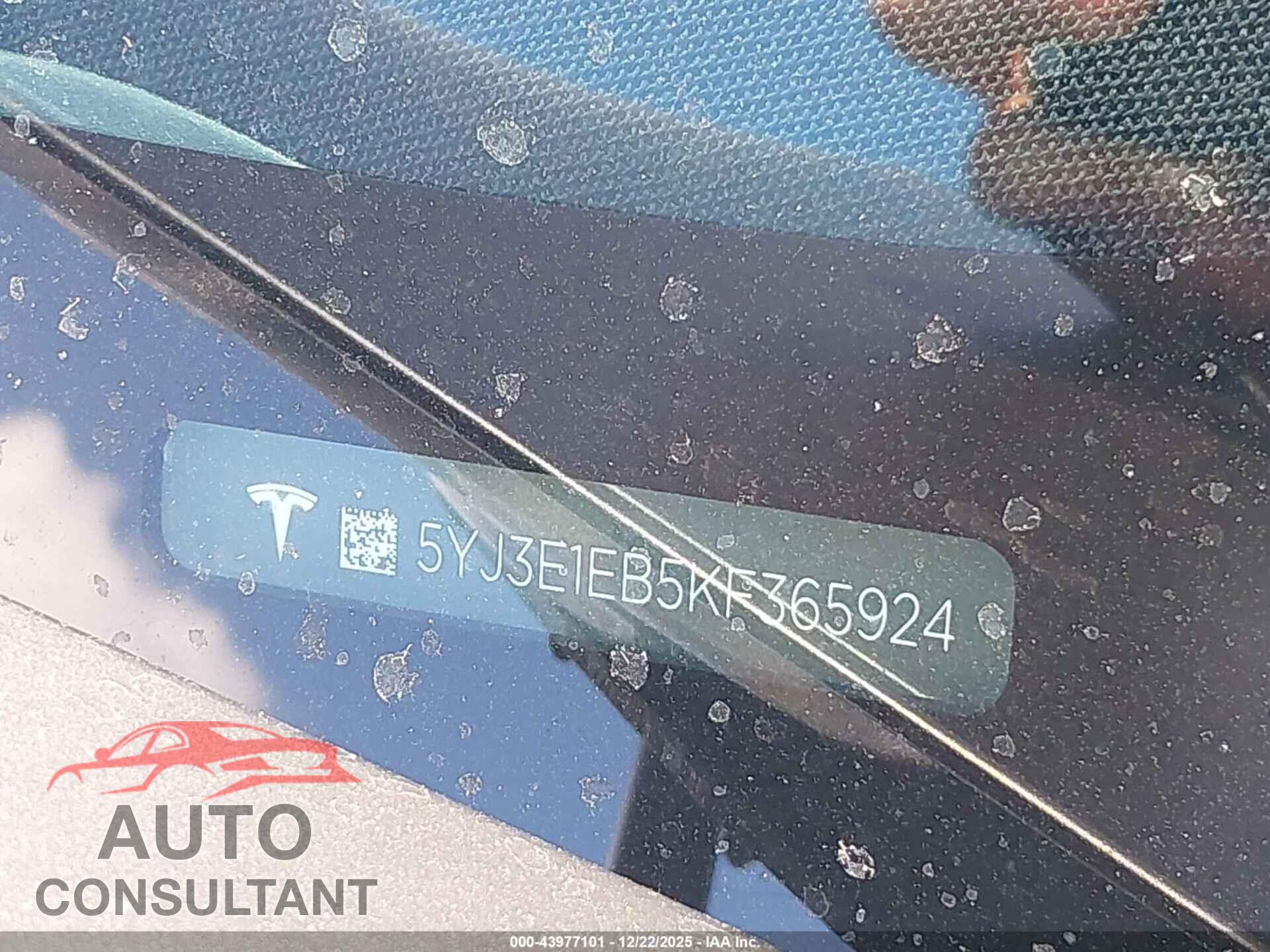 TESLA MODEL 3 2019 - 5YJ3E1EB5KF365924