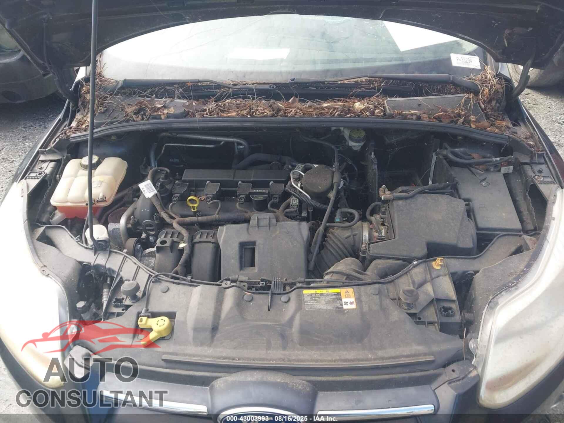 FORD FOCUS 2012 - 1FAHP3F20CL114078