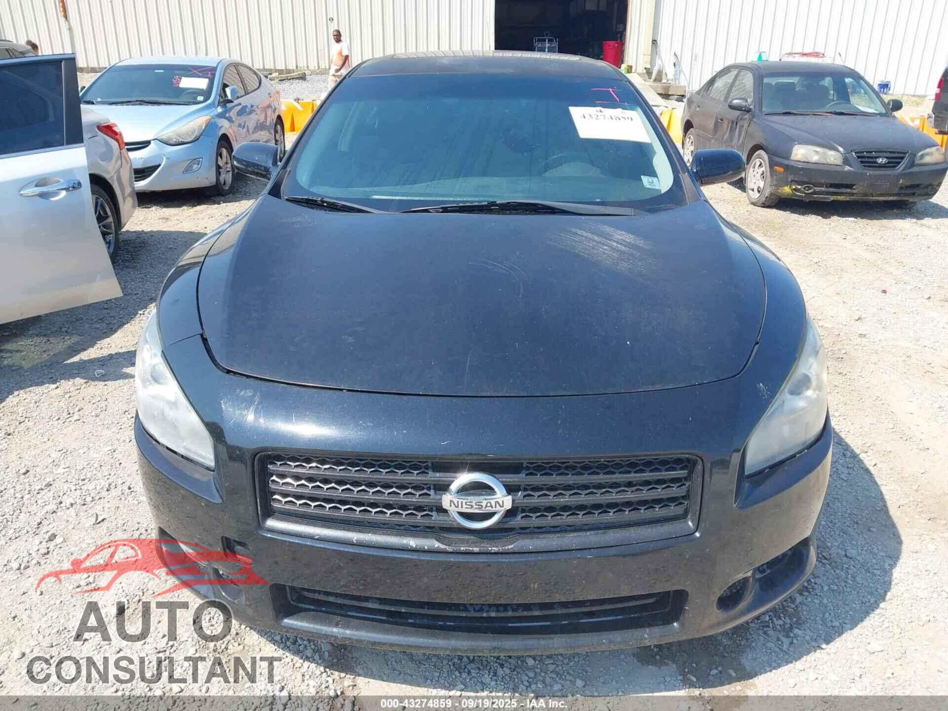 NISSAN MAXIMA 2010 - 1N4AA5AP7AC865757