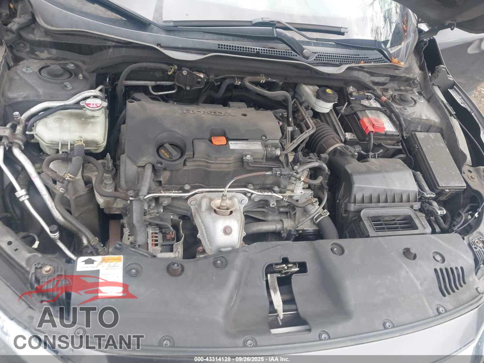 HONDA CIVIC 2017 - 2HGFC2F58HH544982