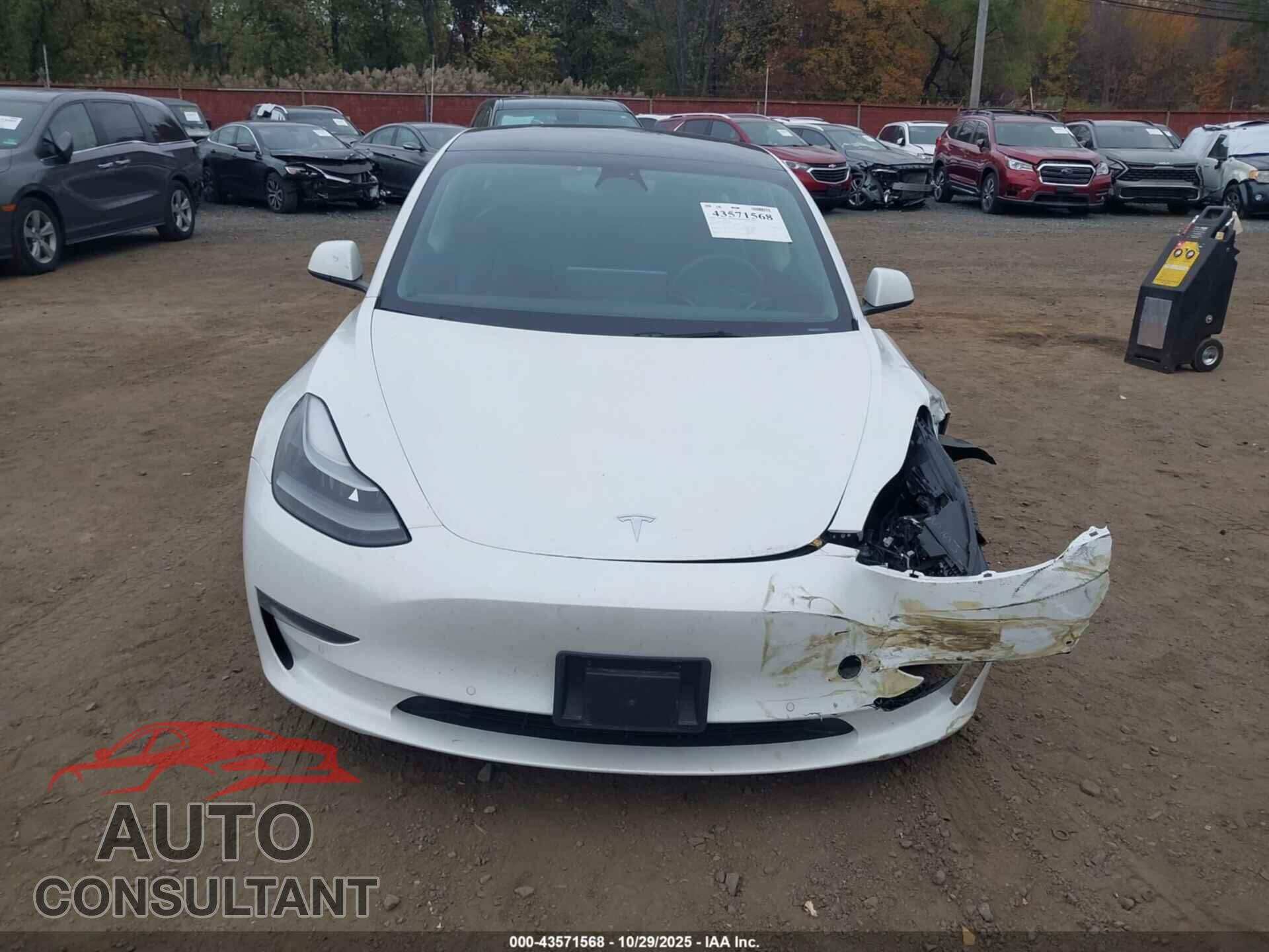 TESLA MODEL 3 2022 - 5YJ3E1EB3NF194854