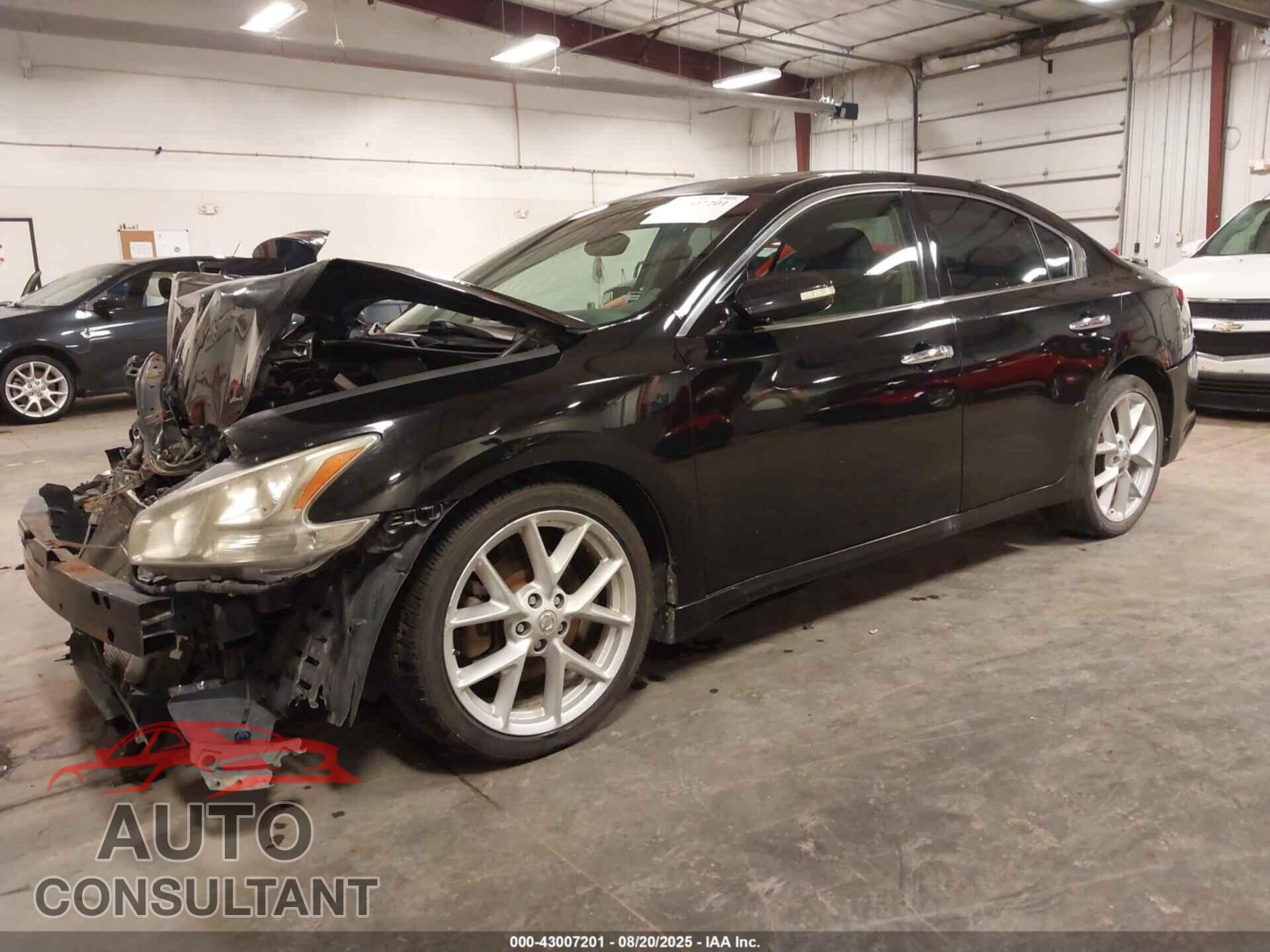 NISSAN MAXIMA 2009 - 1N4AA51E49C806403