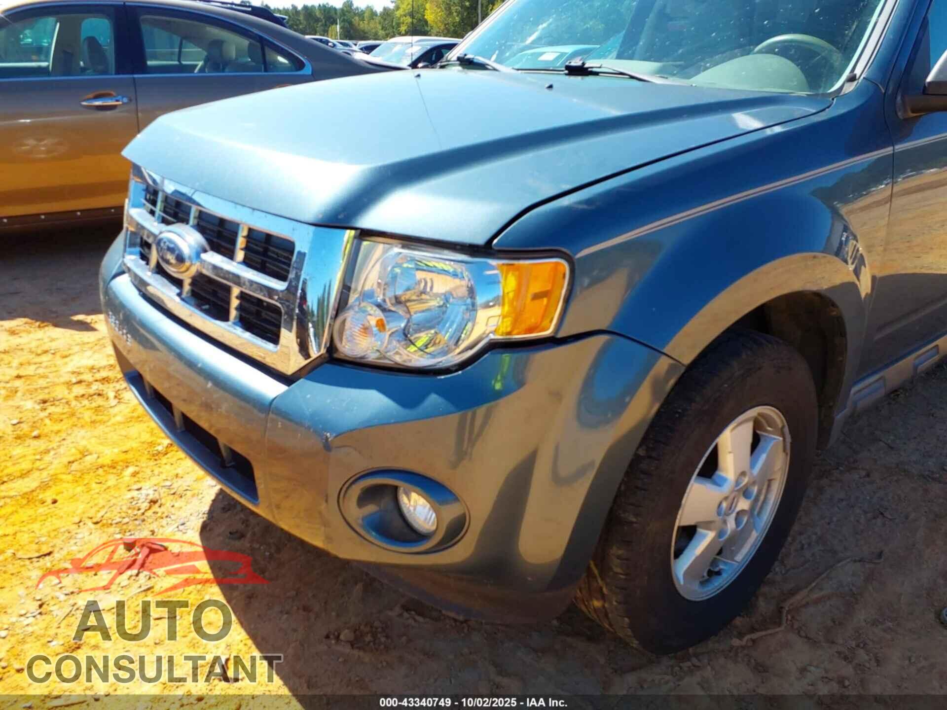 FORD ESCAPE 2010 - 1FMCU9DG9AKD05219