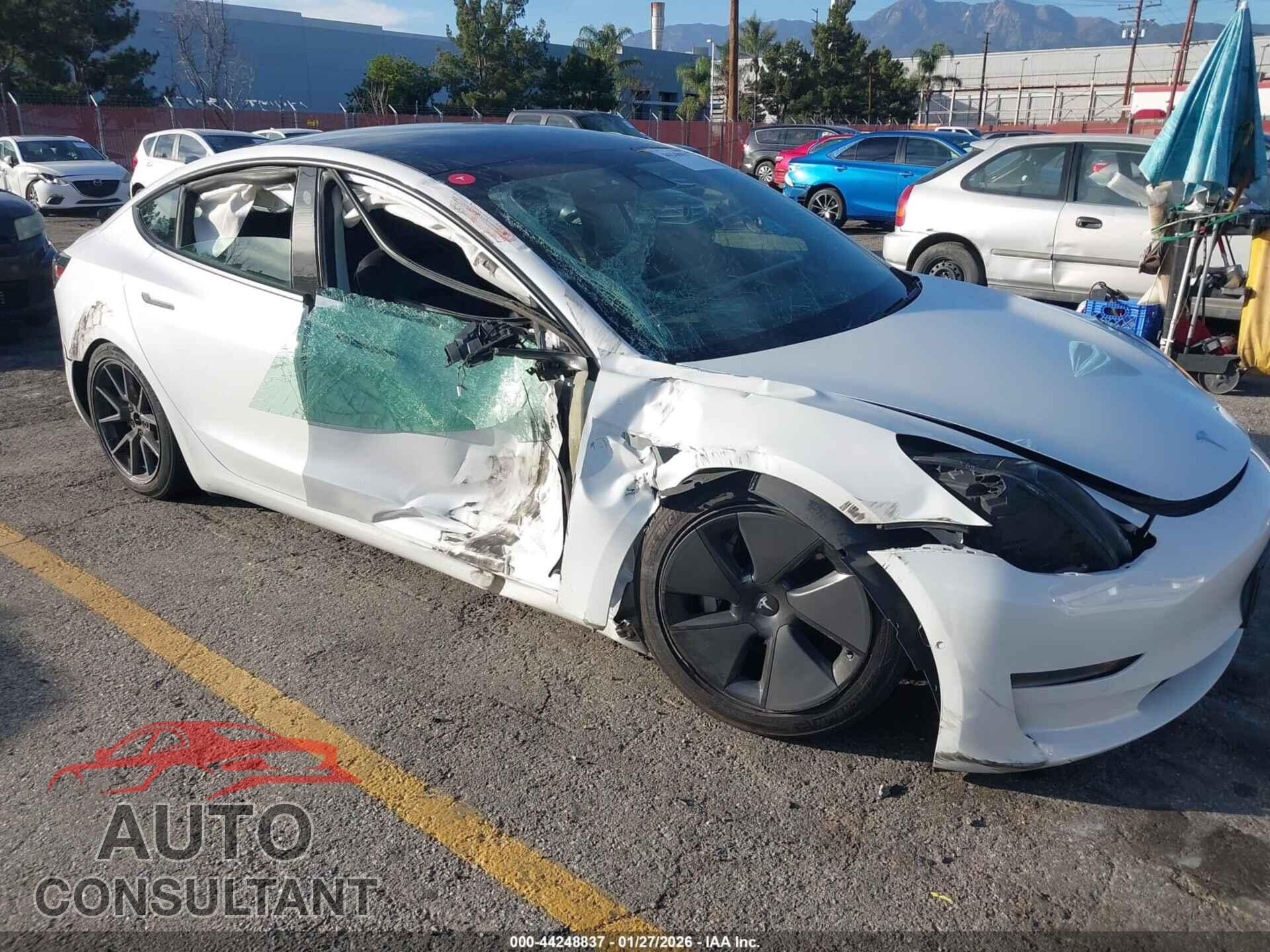 TESLA MODEL 3 2021 - 5YJ3E1EA9MF026609