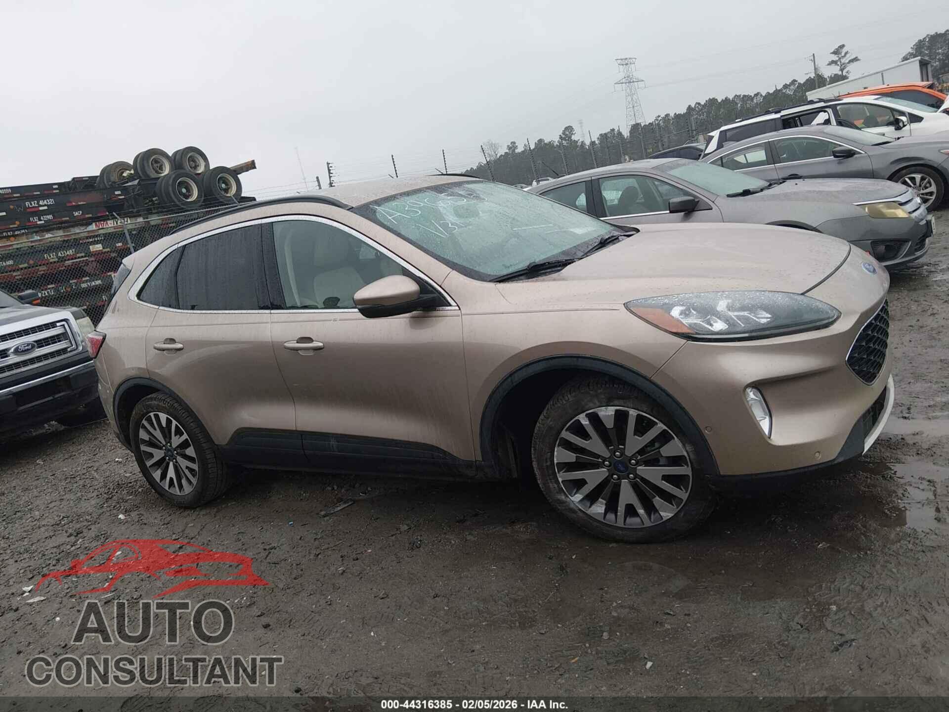 FORD ESCAPE 2020 - 1FMCU0DZ7LUA39655