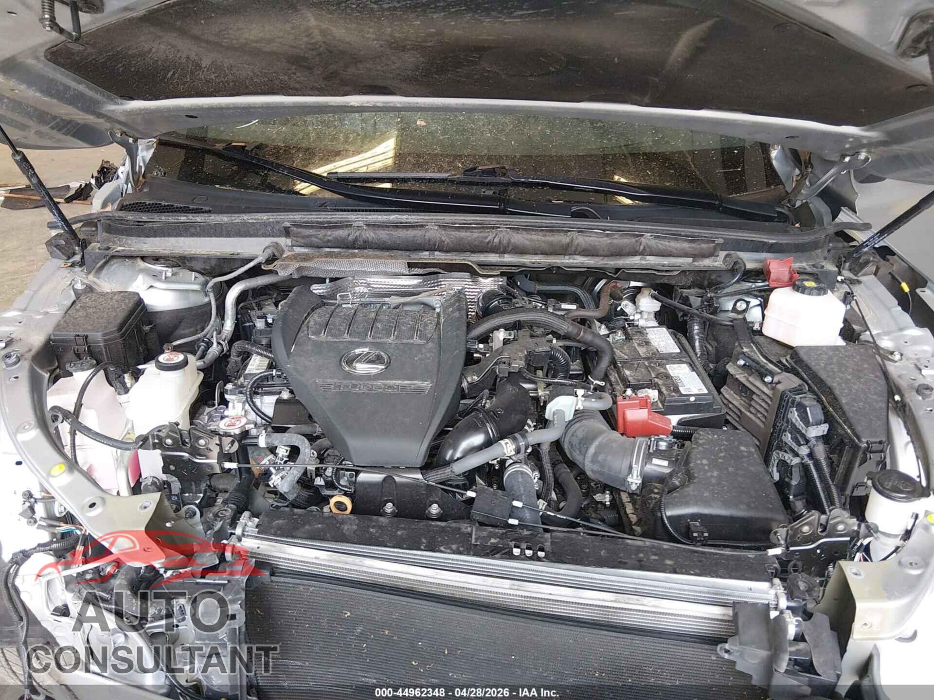 LEXUS RX 350 2024 - 2T2BAMCA2RC051192