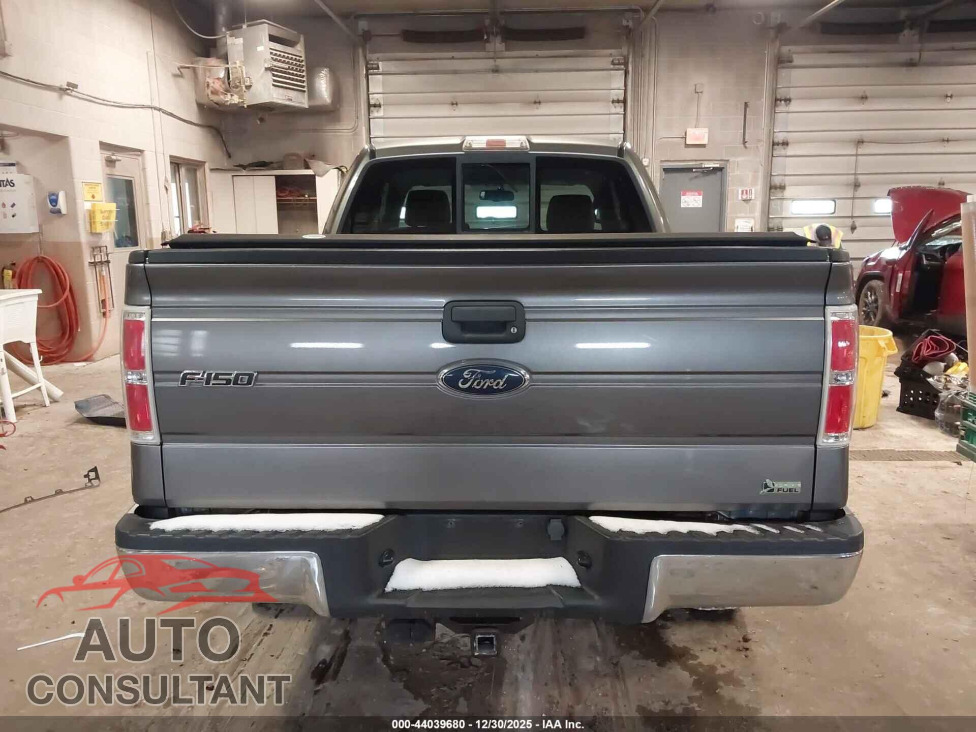 FORD F-150 2010 - 1FTFX1EV9AFC46561