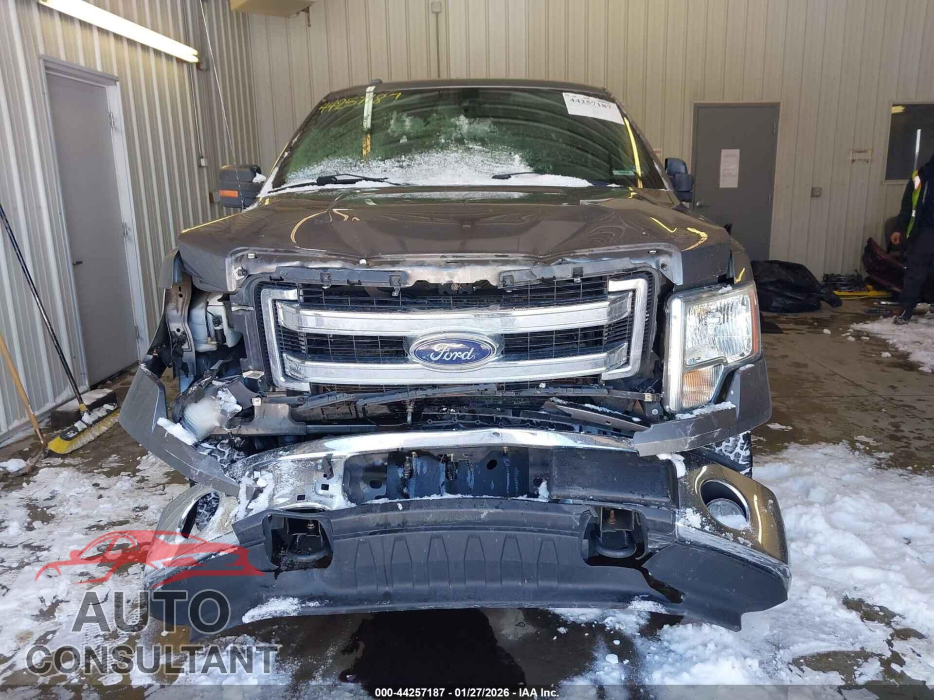 FORD F-150 2013 - 1FTFW1EF3DFD58207