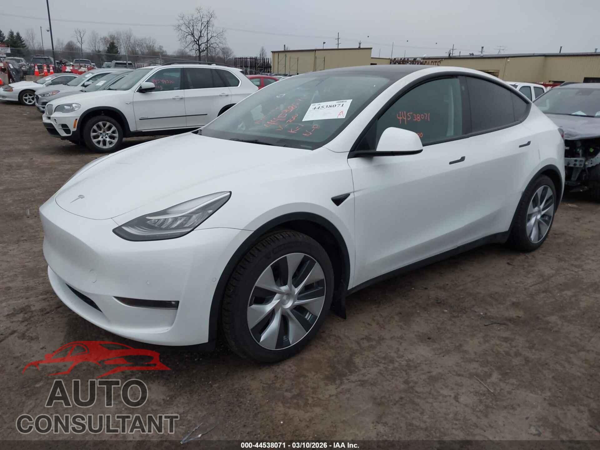TESLA MODEL Y 2022 - 7SAYGAEE9NF507600