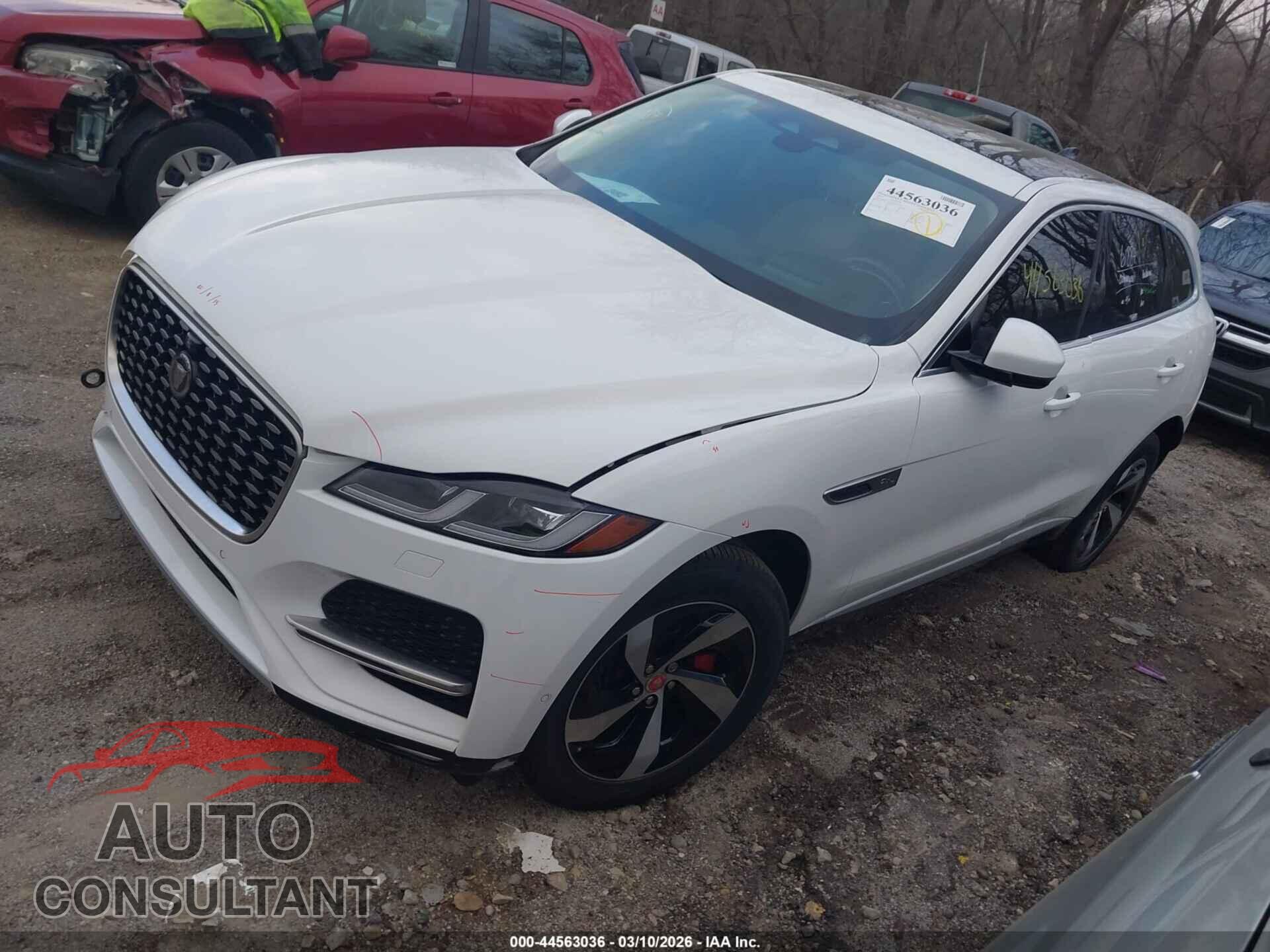 JAGUAR F-PACE 2021 - SADCJ2EXXMA687570
