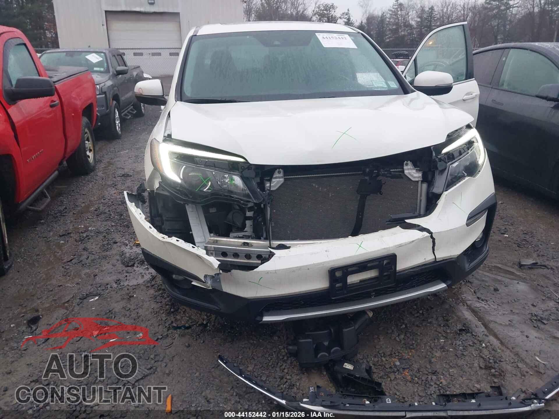 HONDA PILOT 2019 - 5FNYF6H48KB042299