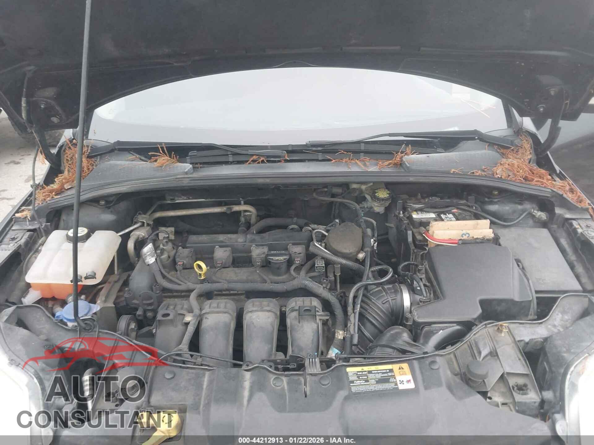 FORD FOCUS 2014 - 1FADP3K29EL148995