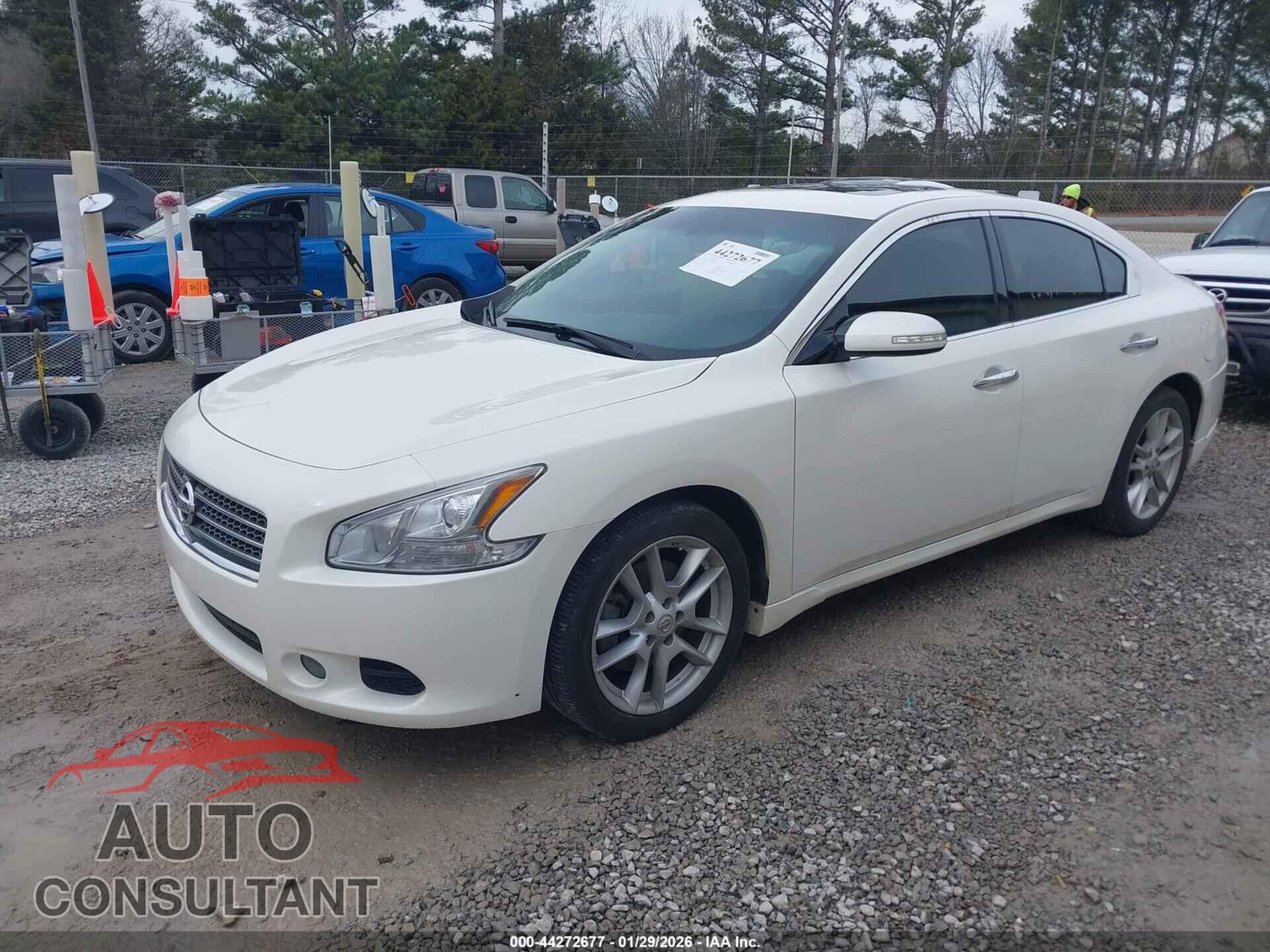 NISSAN MAXIMA 2010 - 1N4AA5AP9AC822232