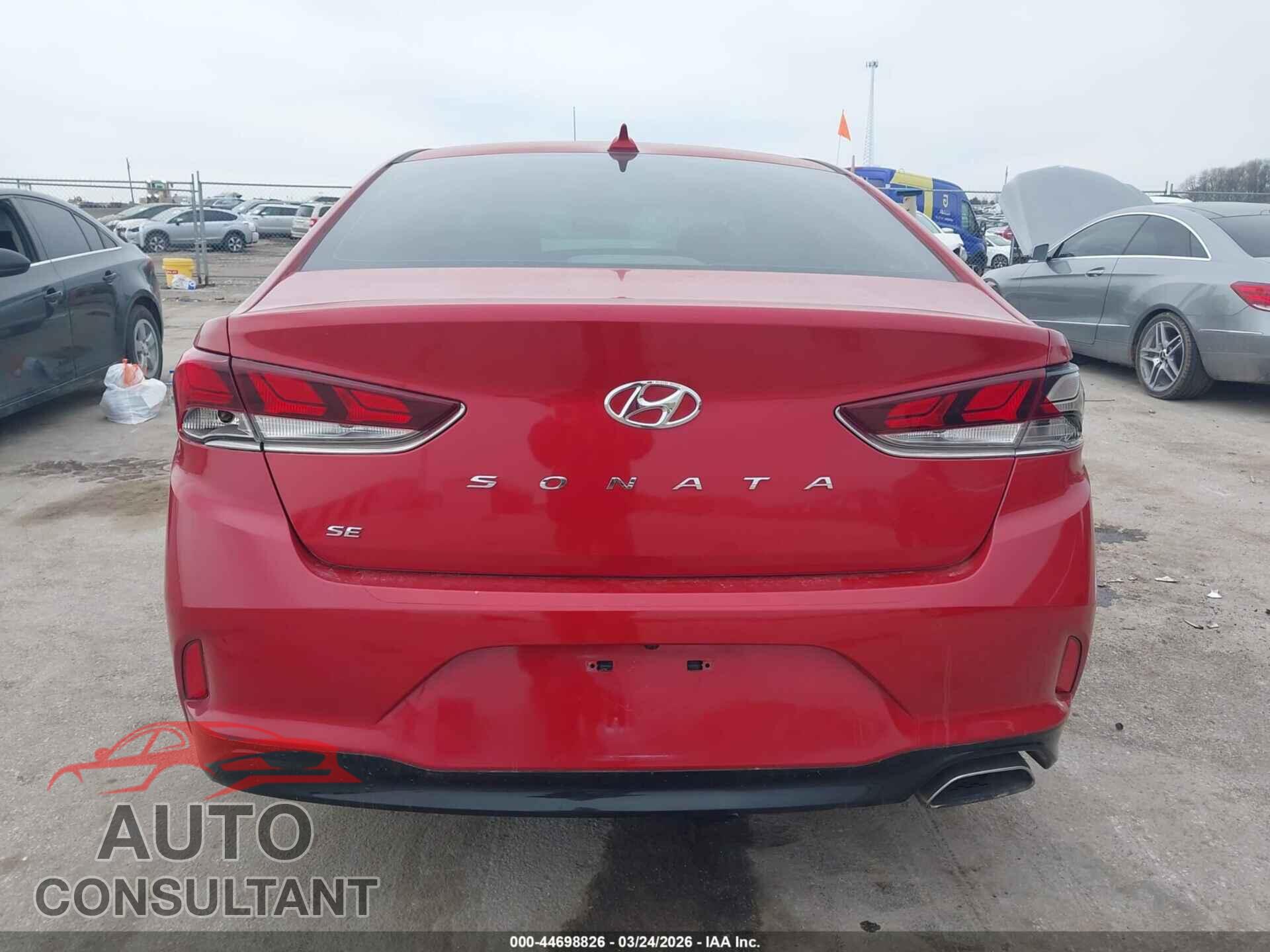 HYUNDAI SONATA 2019 - 5NPE24AF9KH764669