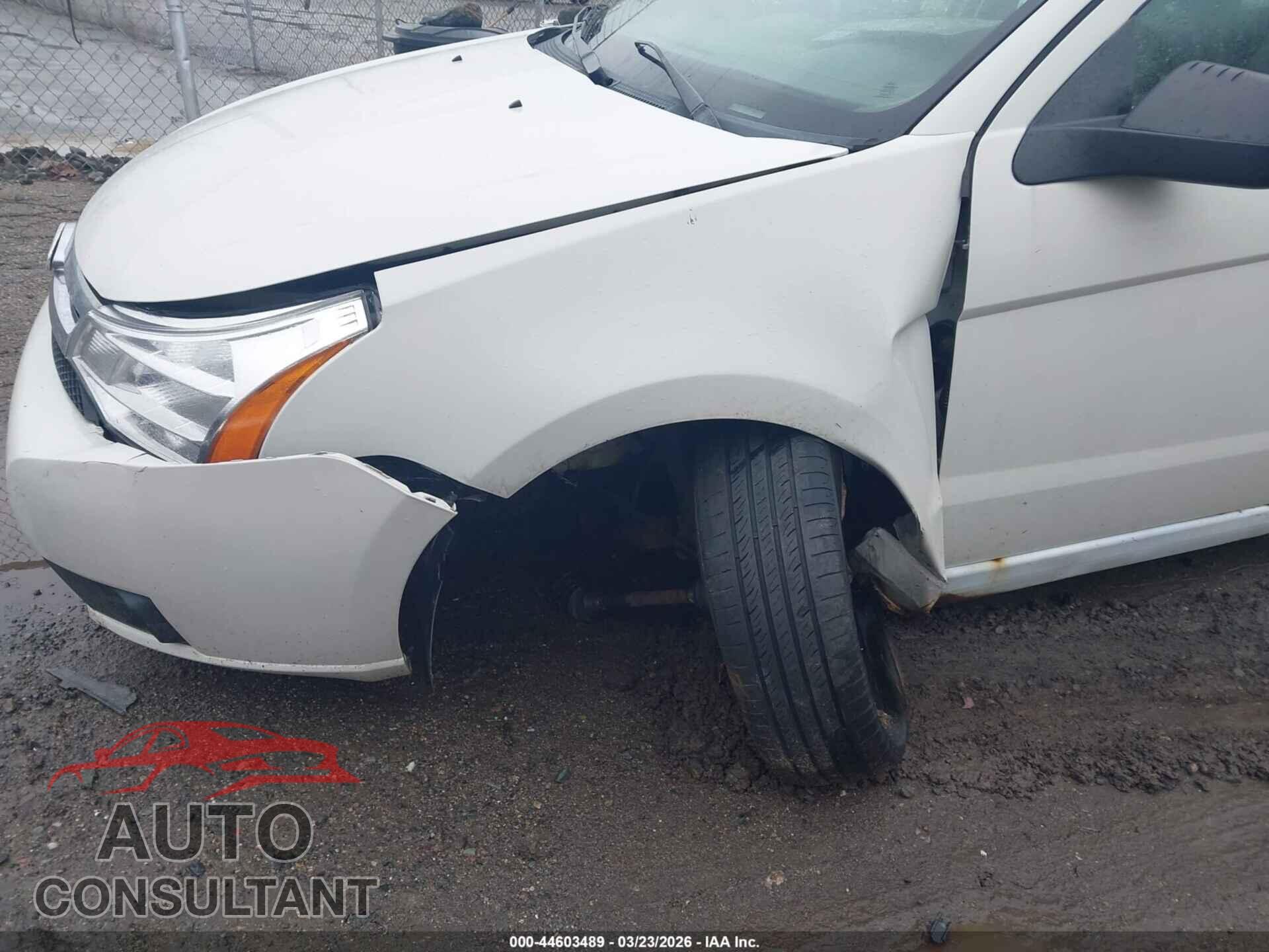 FORD FOCUS 2011 - 1FAHP3EN5BW199508