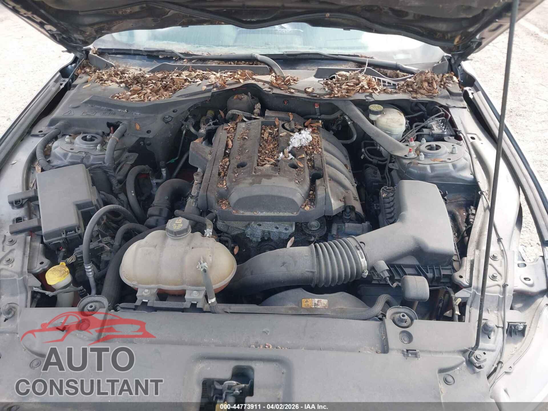 FORD MUSTANG 2015 - 1FATP8UH3F5363868