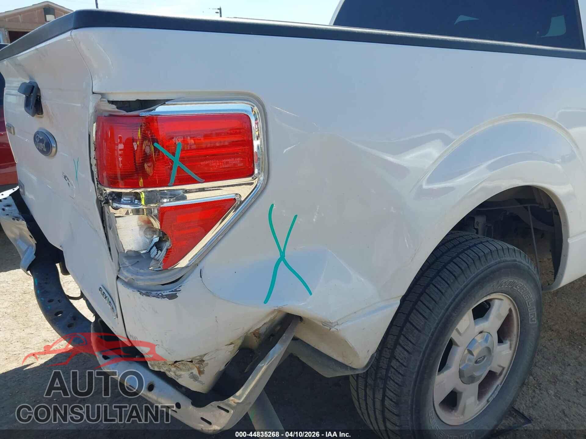 FORD F-150 2014 - 1FTEW1CM8EFA69497