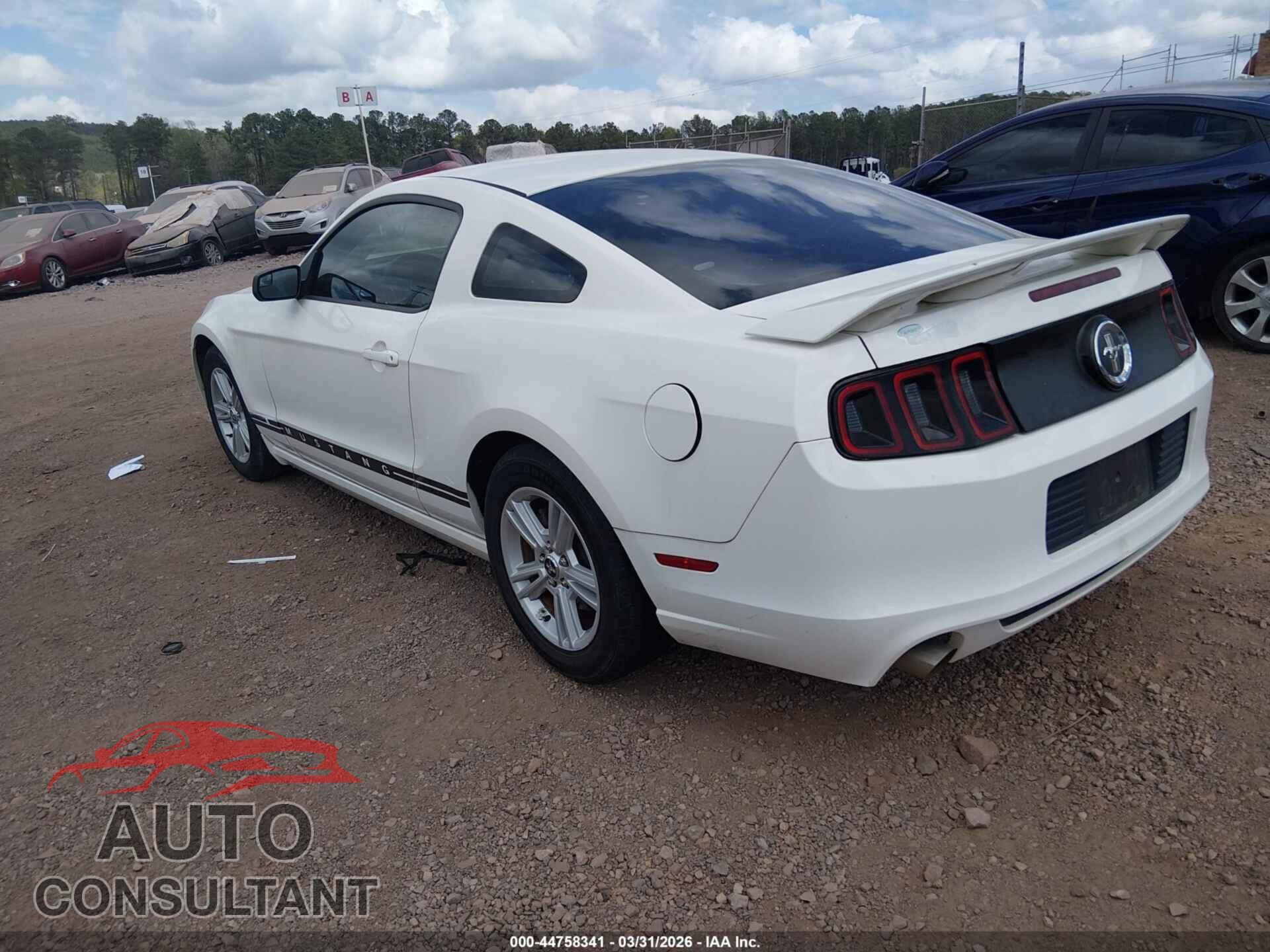 FORD MUSTANG 2013 - 1ZVBP8AM8D5265453