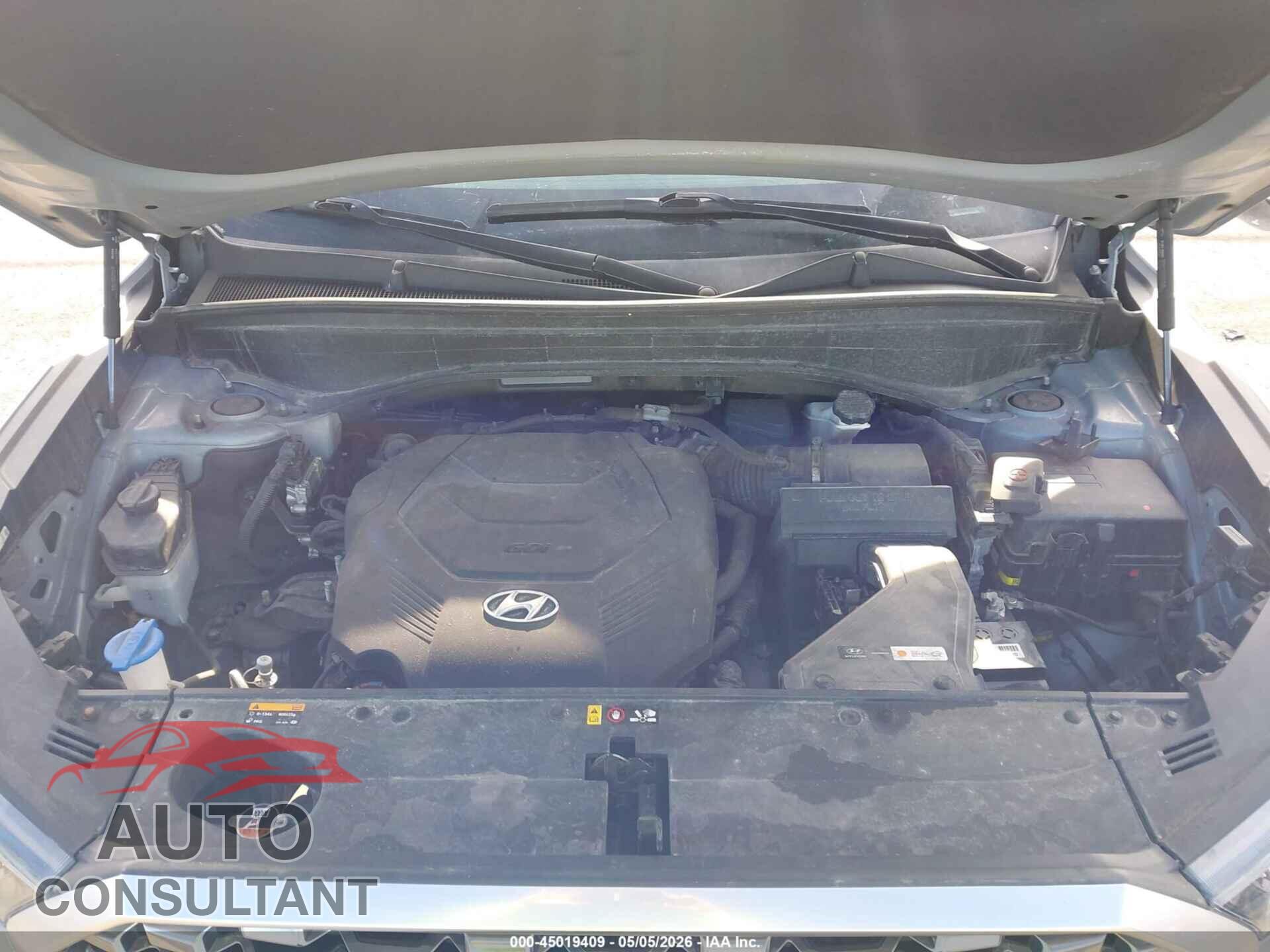 HYUNDAI PALISADE 2020 - KM8R2DHE2LU152122