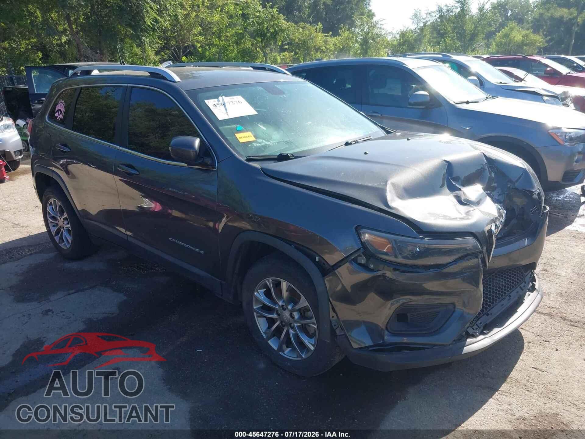 JEEP CHEROKEE 2019 - 1C4PJLLB9KD226432