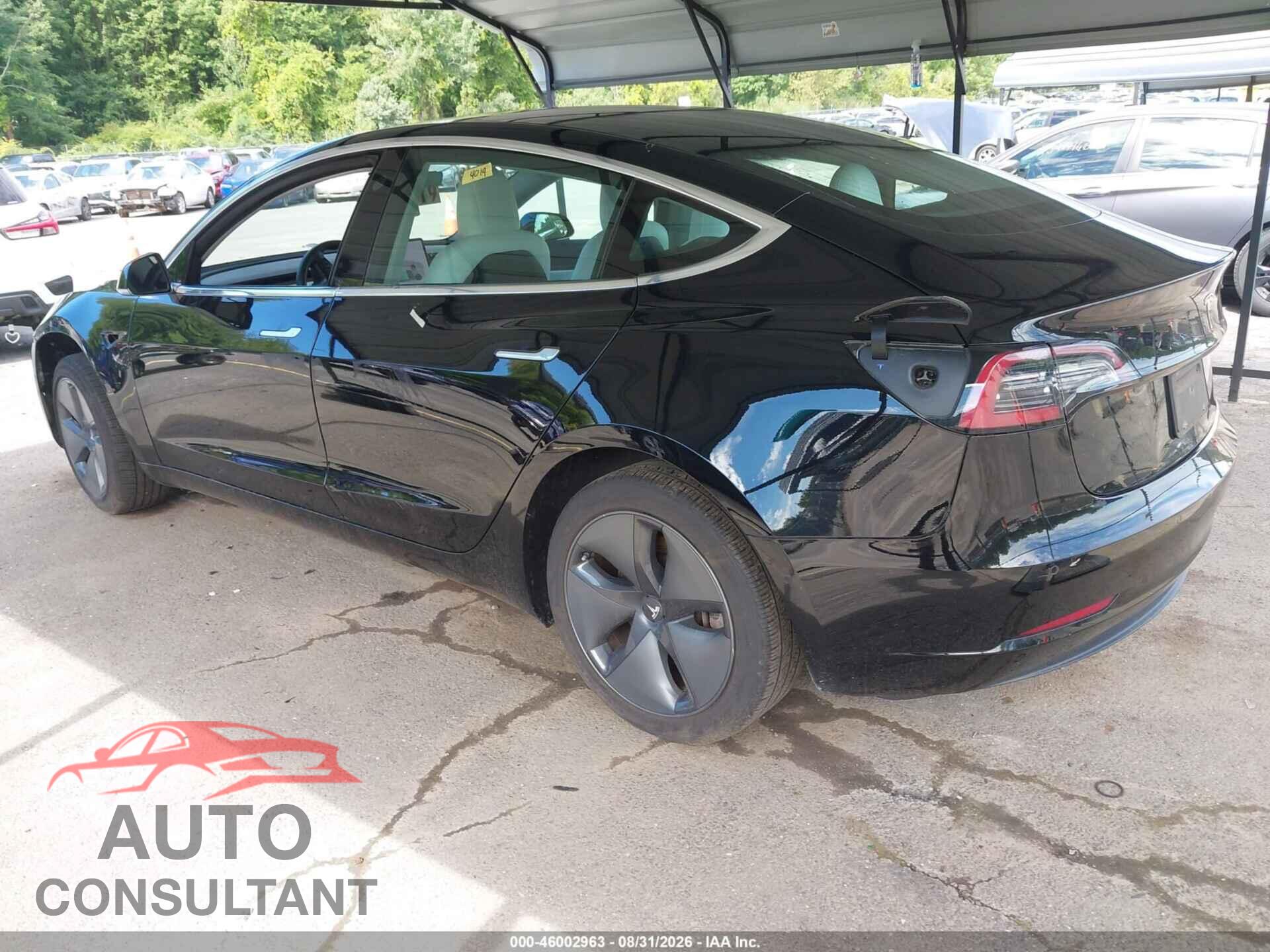TESLA MODEL 3 2019 - 5YJ3E1EA1KF431392