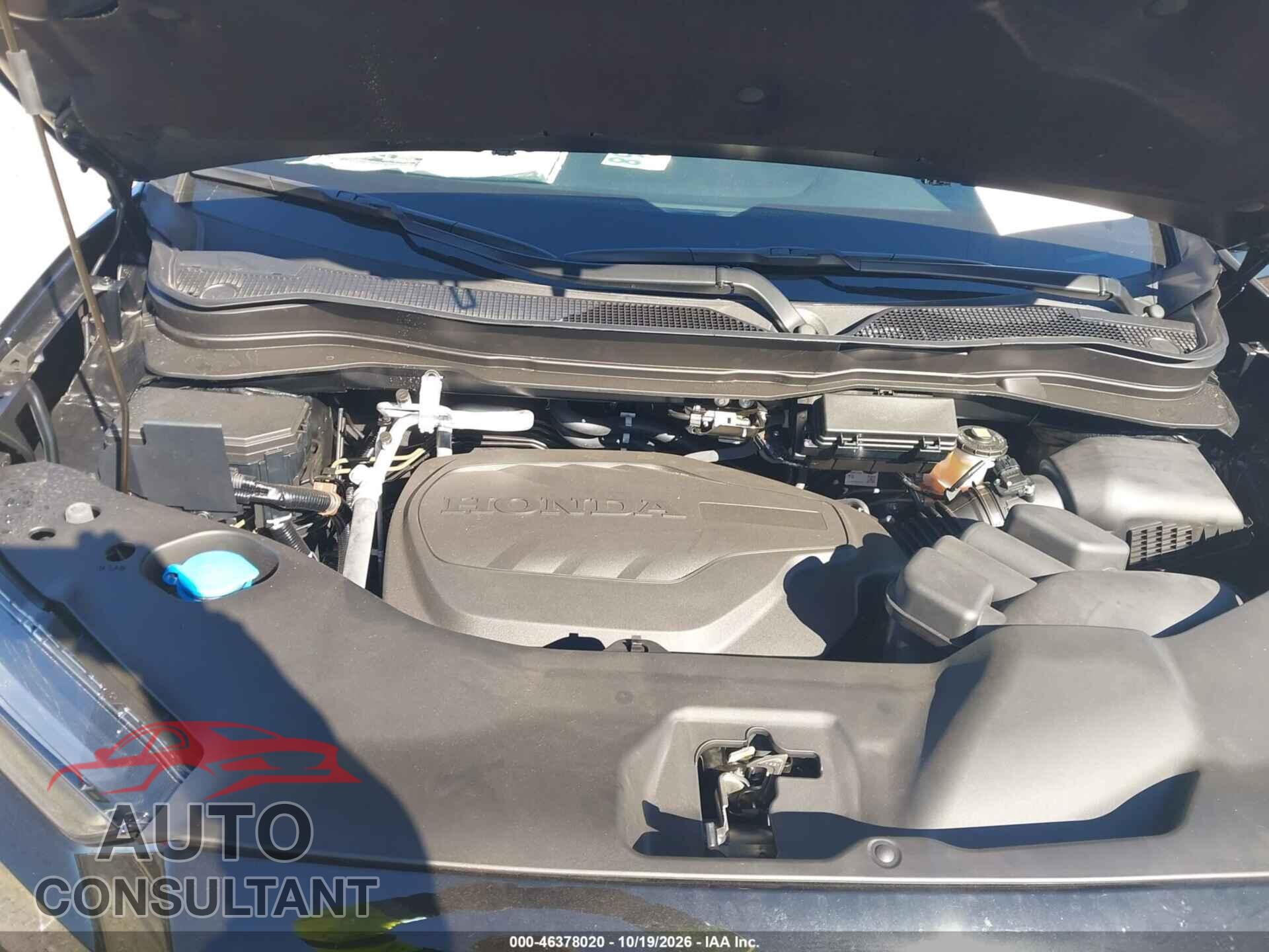 HONDA RIDGELINE 2026 - 5FPYK3F67TB044889